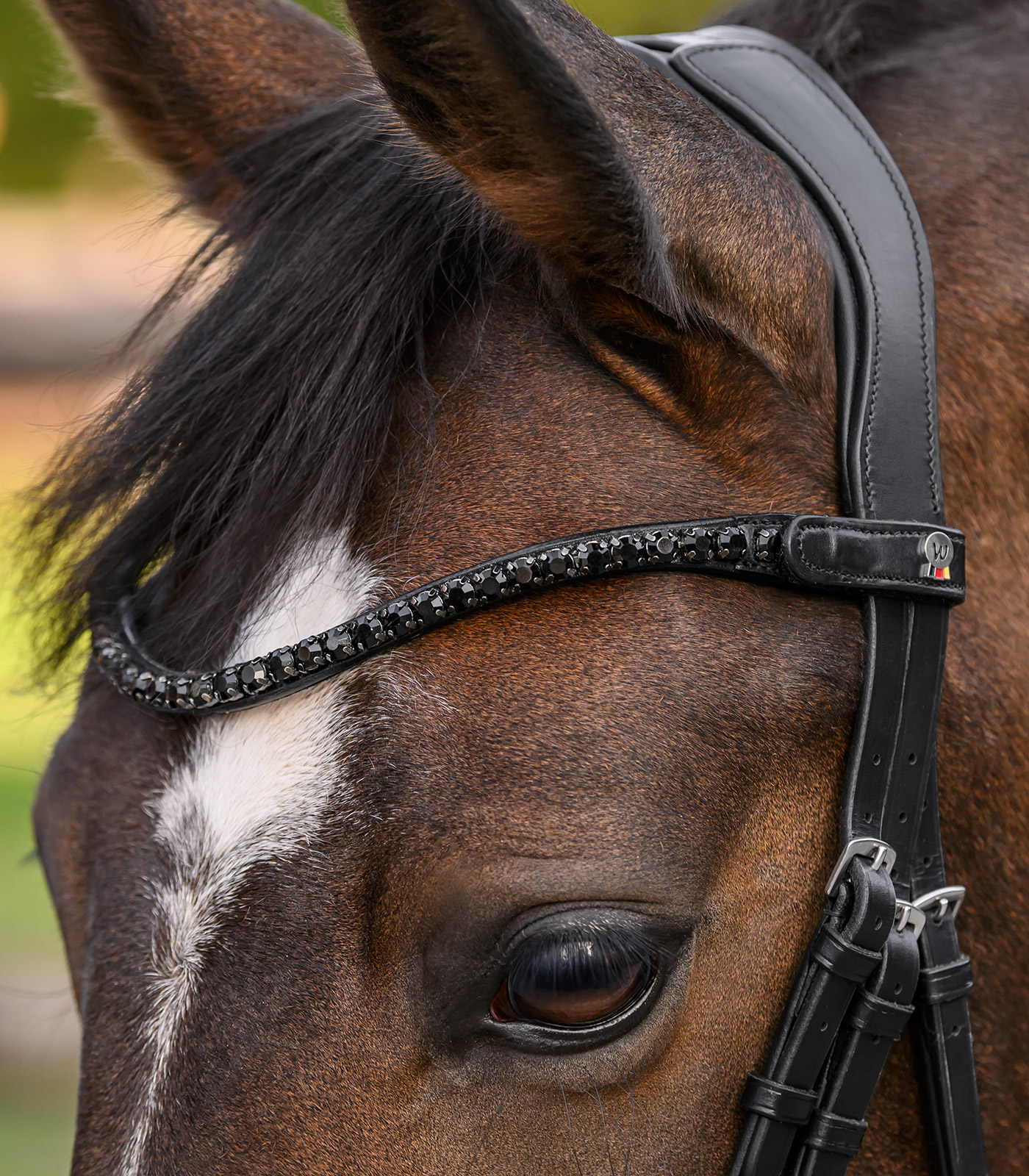 X-Line Browband Shine, black