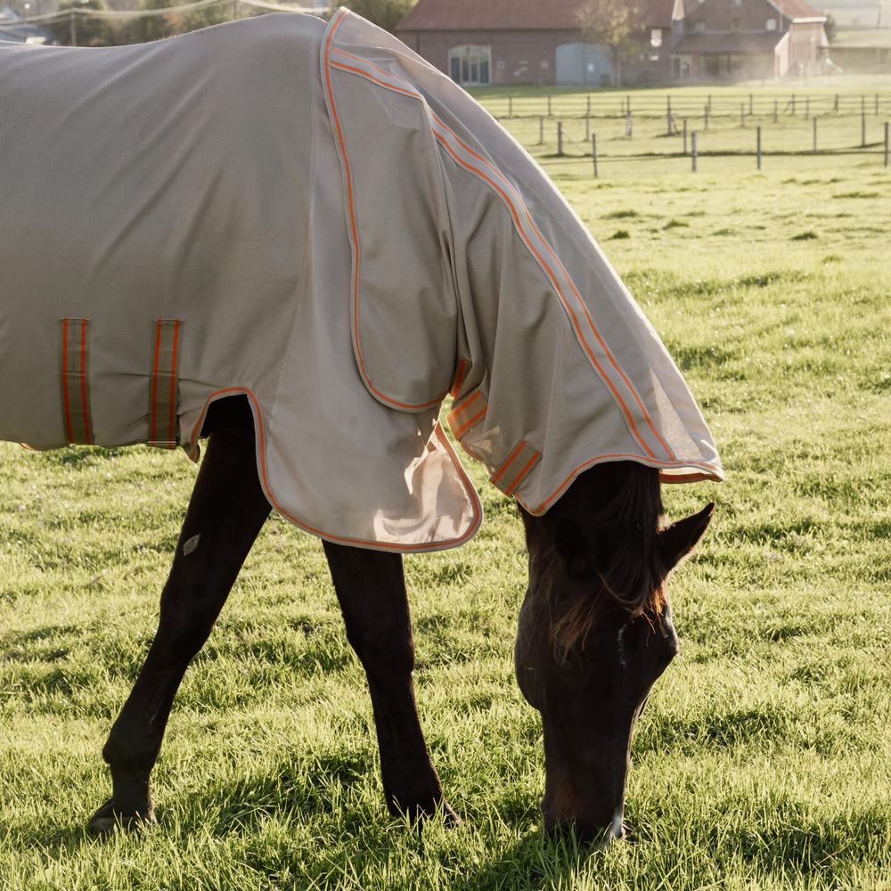 Comfort fly rug
