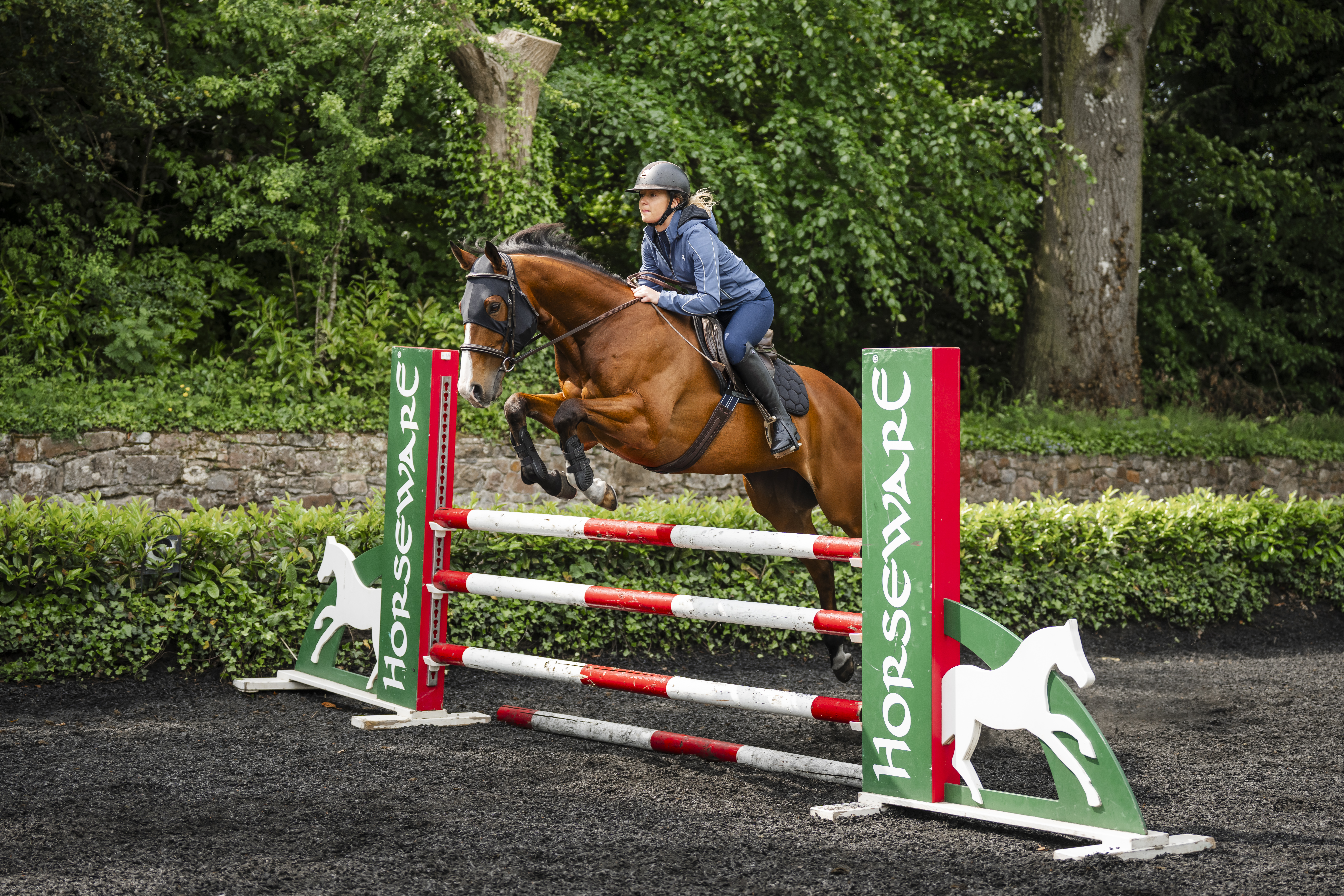 Beruhigungsmaske Pferd Ionic