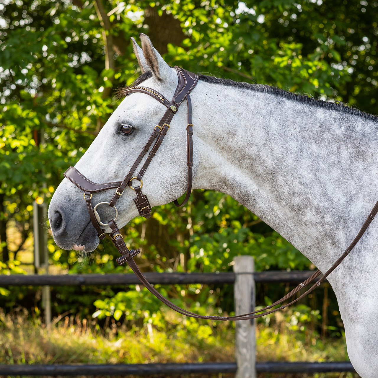 Snaffle Devi
