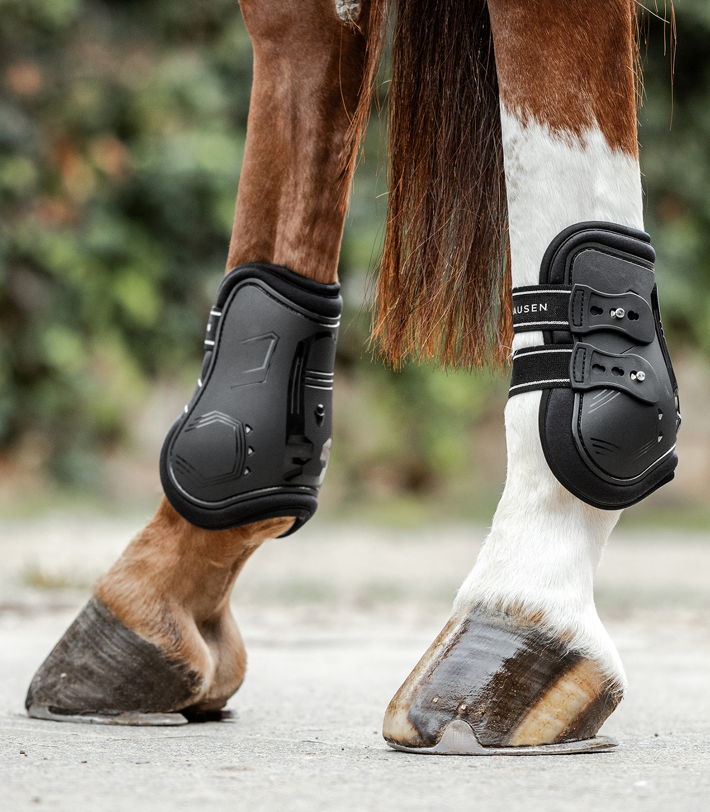 Fetlock boot Memory Foam Pro