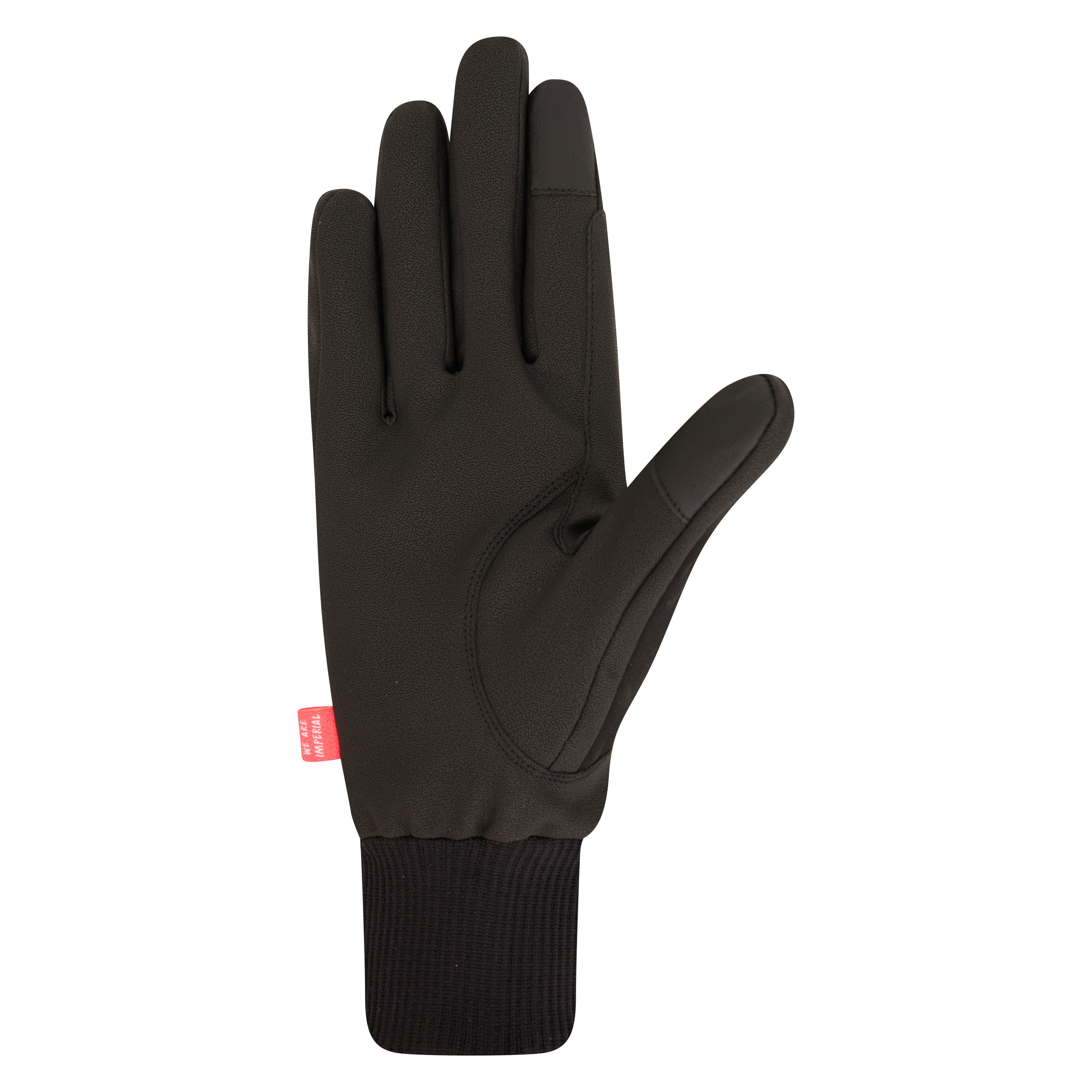 Handschuhe Hide & Shine