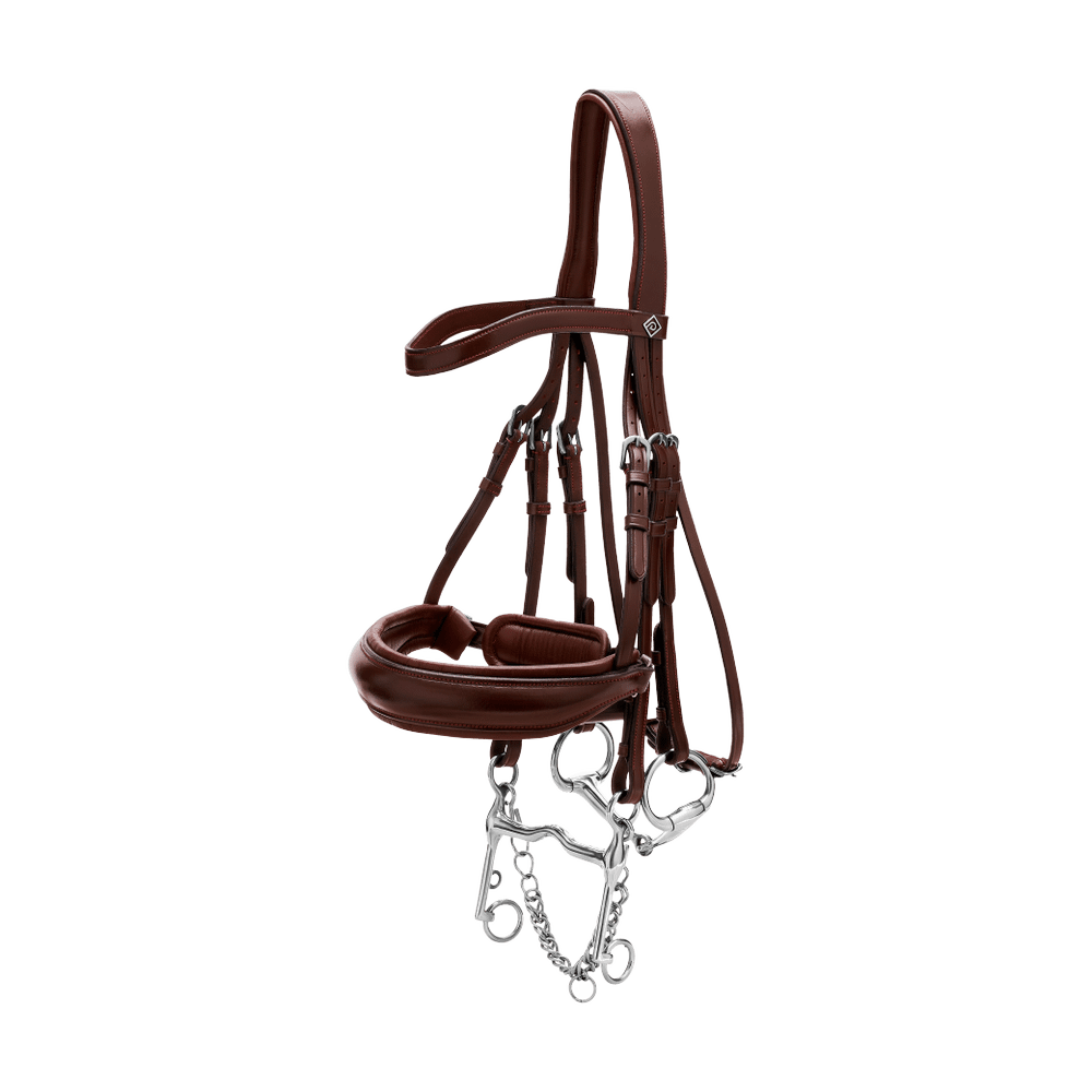 Kandare mit breitem schwedischem Reithalfter