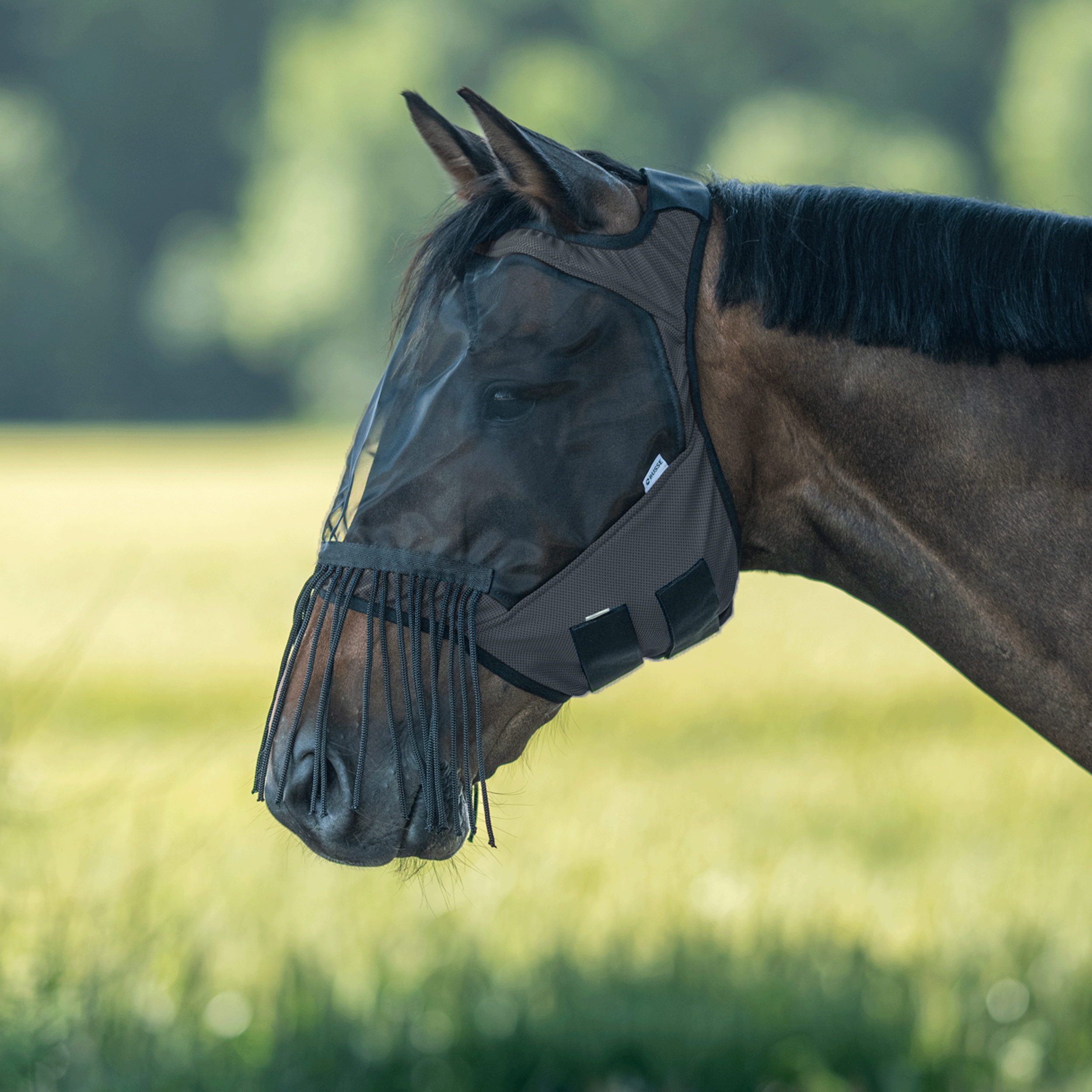 Masque anti-mouches Fly Guard Free FR