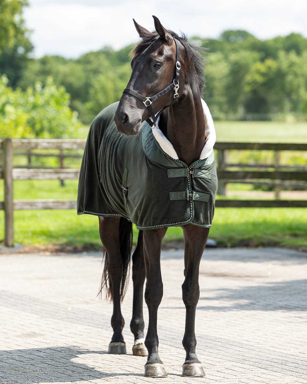 Brilliance sweat rug