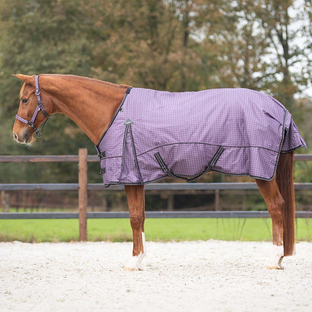 Outdoor rug 1200D Collection 50gr