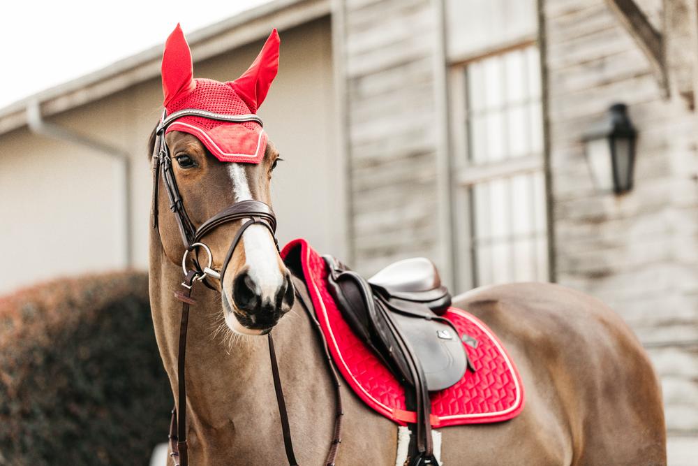 Ear bonnet Wellington Velvet