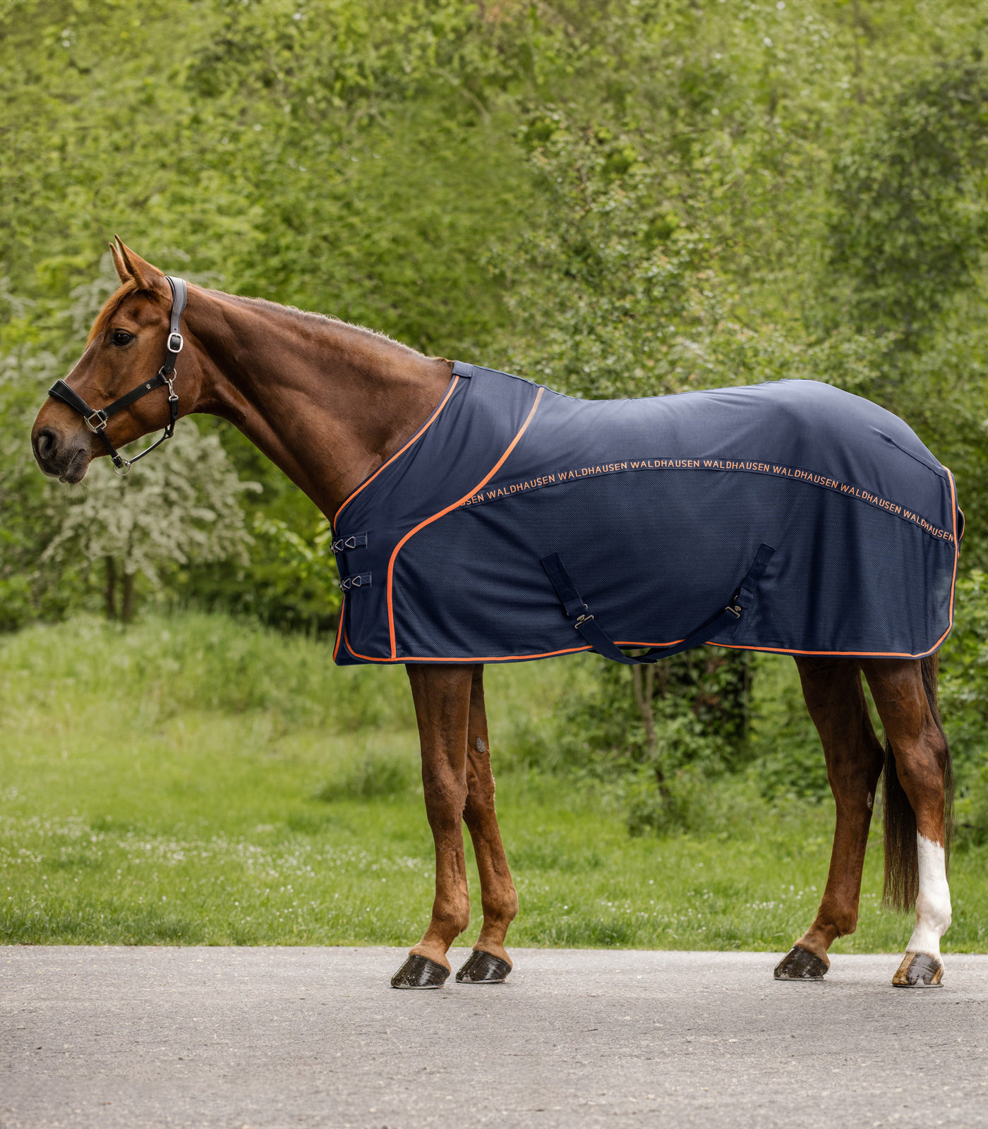 Fly summer blanket