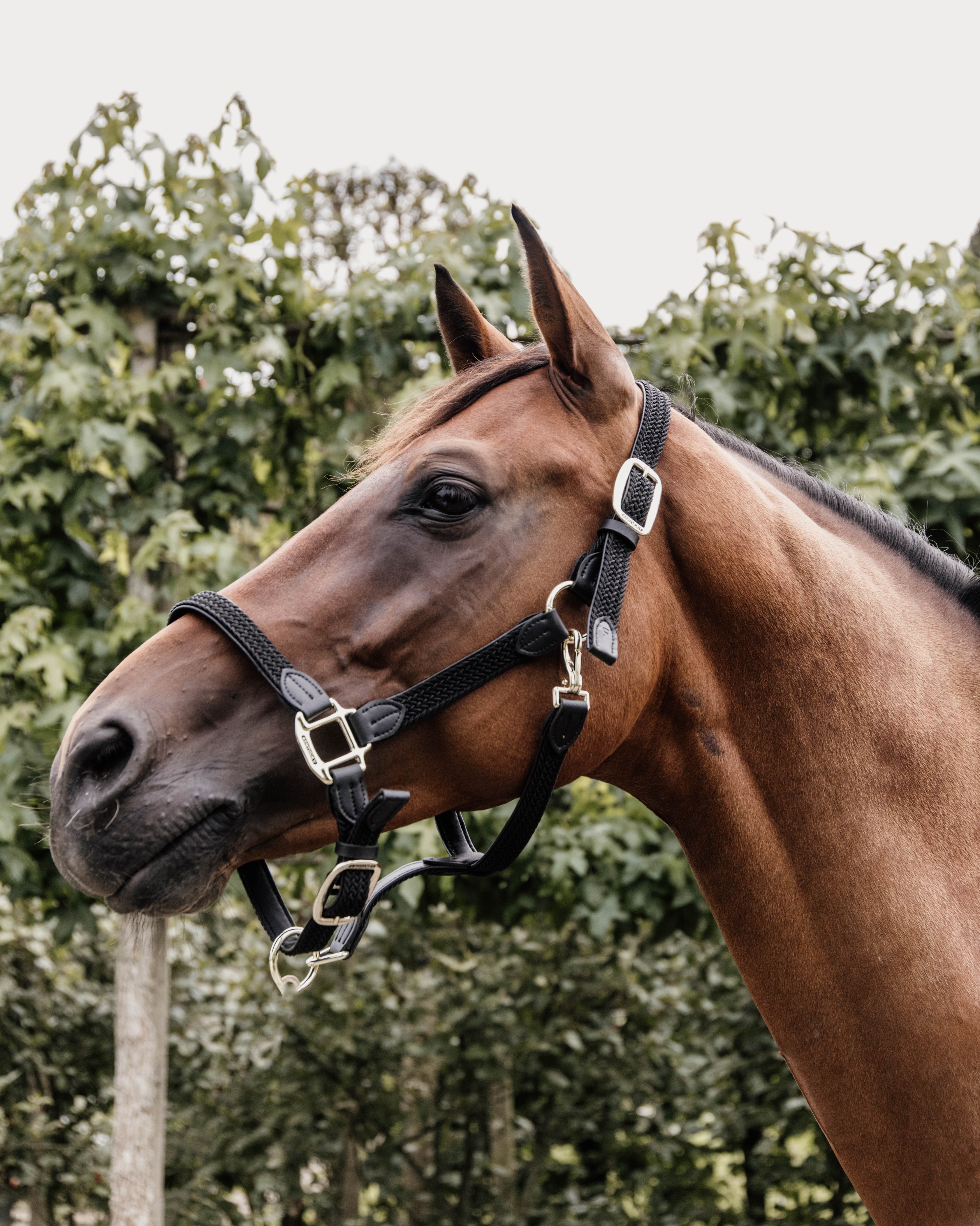 Halter Braided Nylon