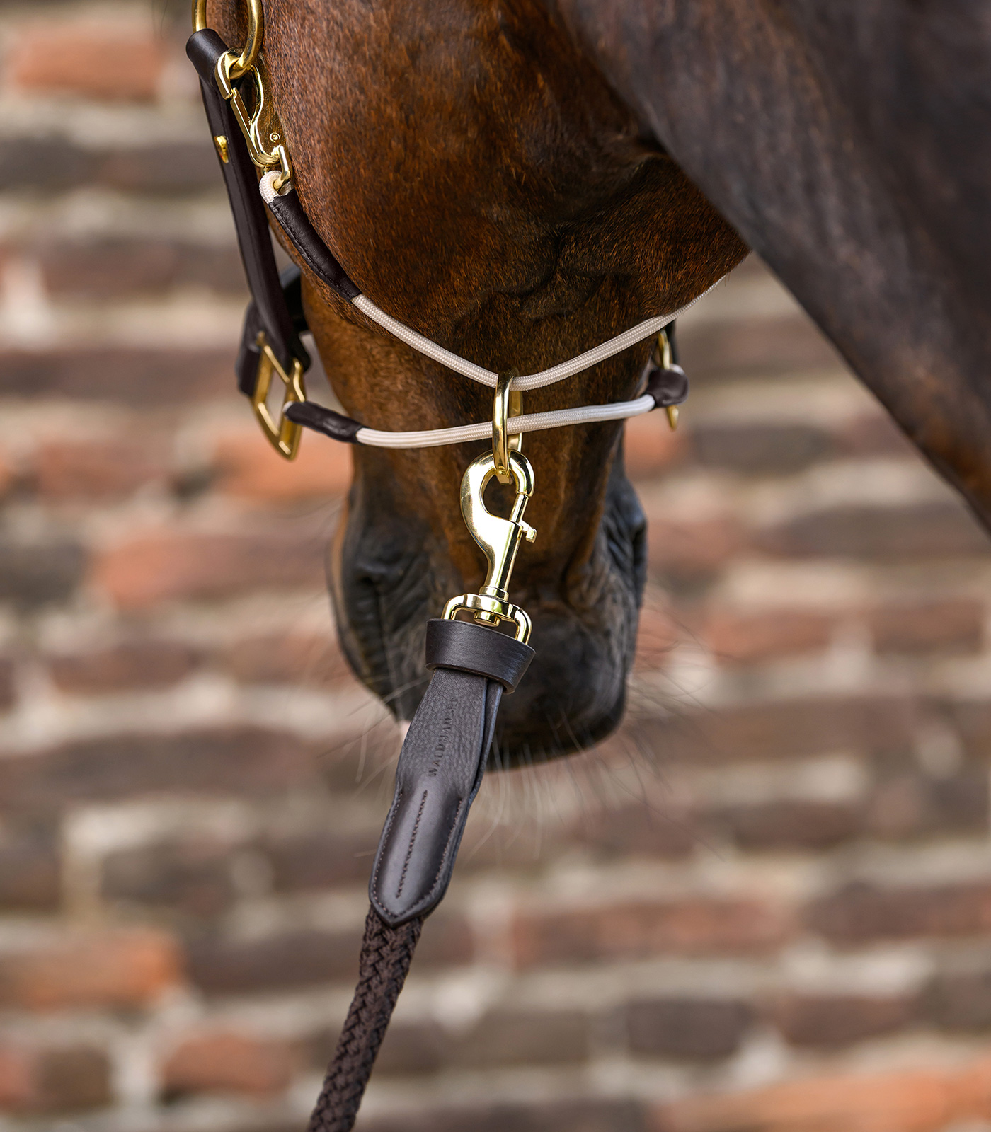 Longe Royal avec détails en cuir