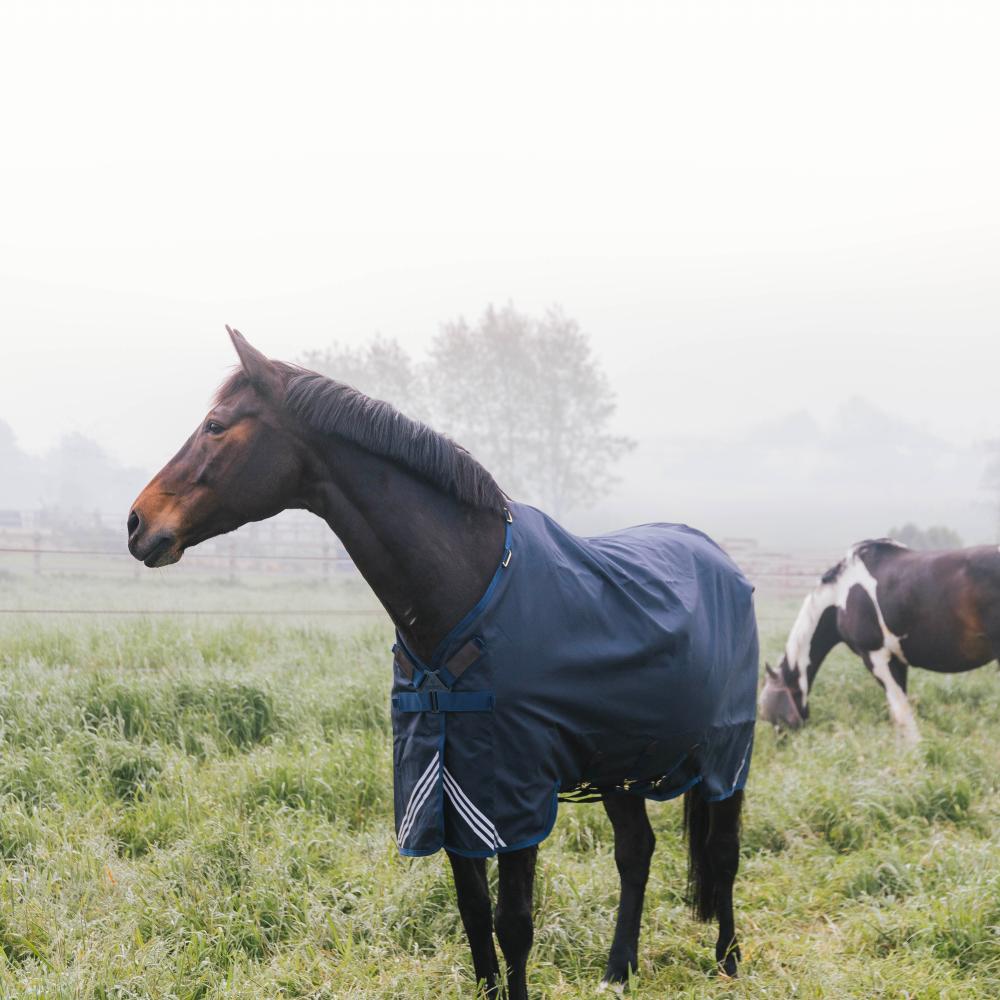 Couverture de pré All Weather Waterproof Comfort