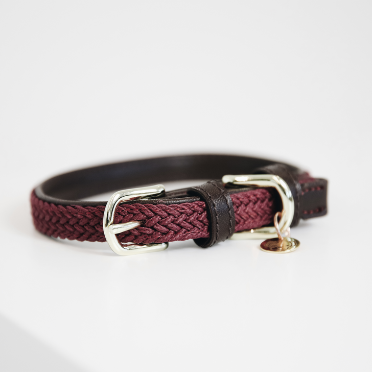 Braided nylon dog collar