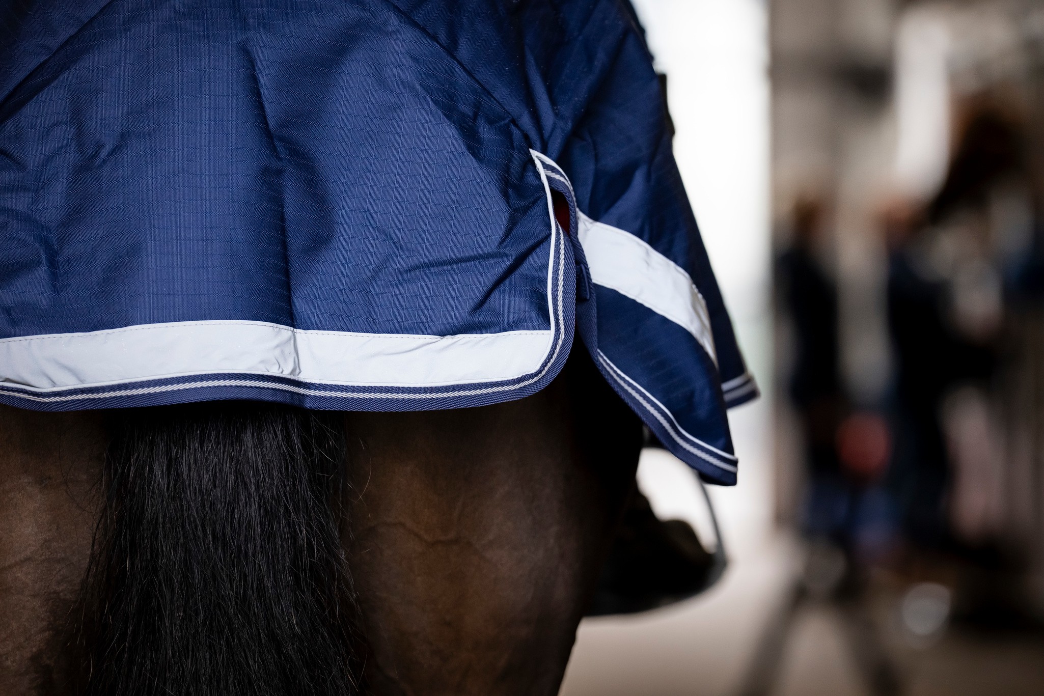 Nierendecke Riding Rug in Navy