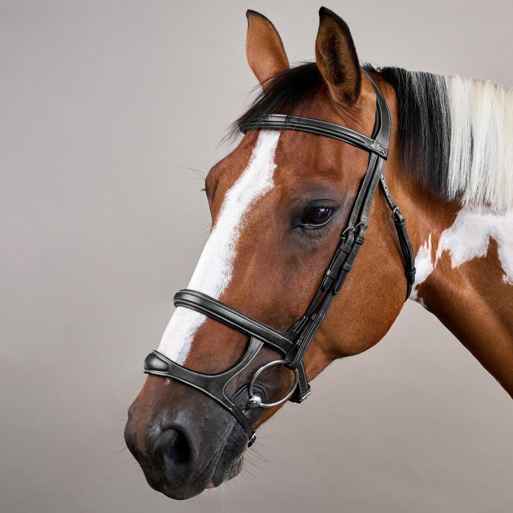 Trense mit Doppelreithalfter US