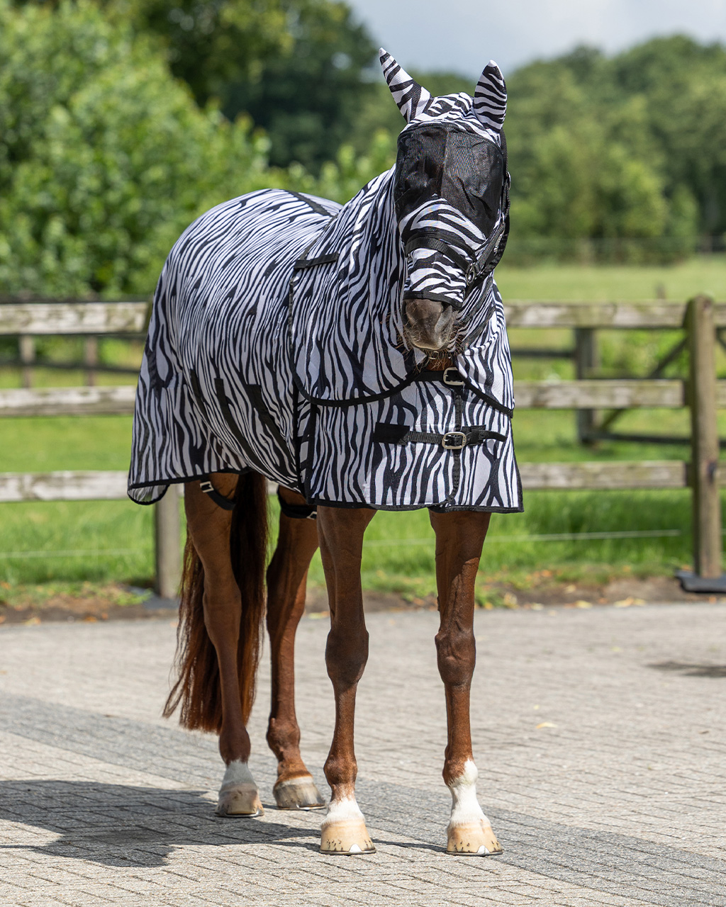 Fly rug with neck and bonnet