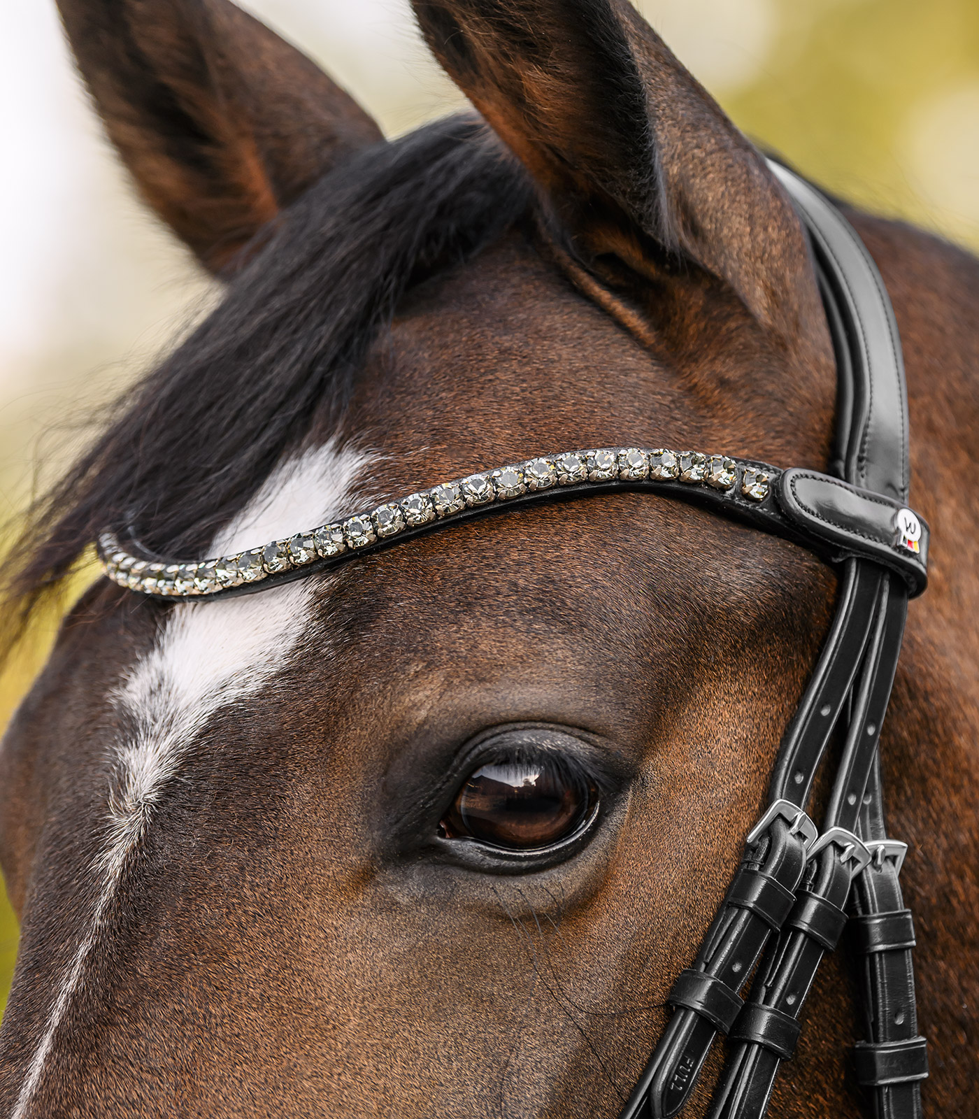 X-Line Browband Shine, black