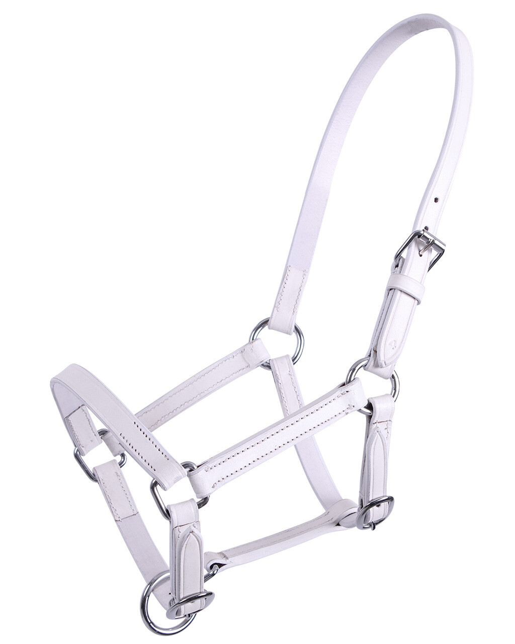 Lederhalfter Fohlen Chico