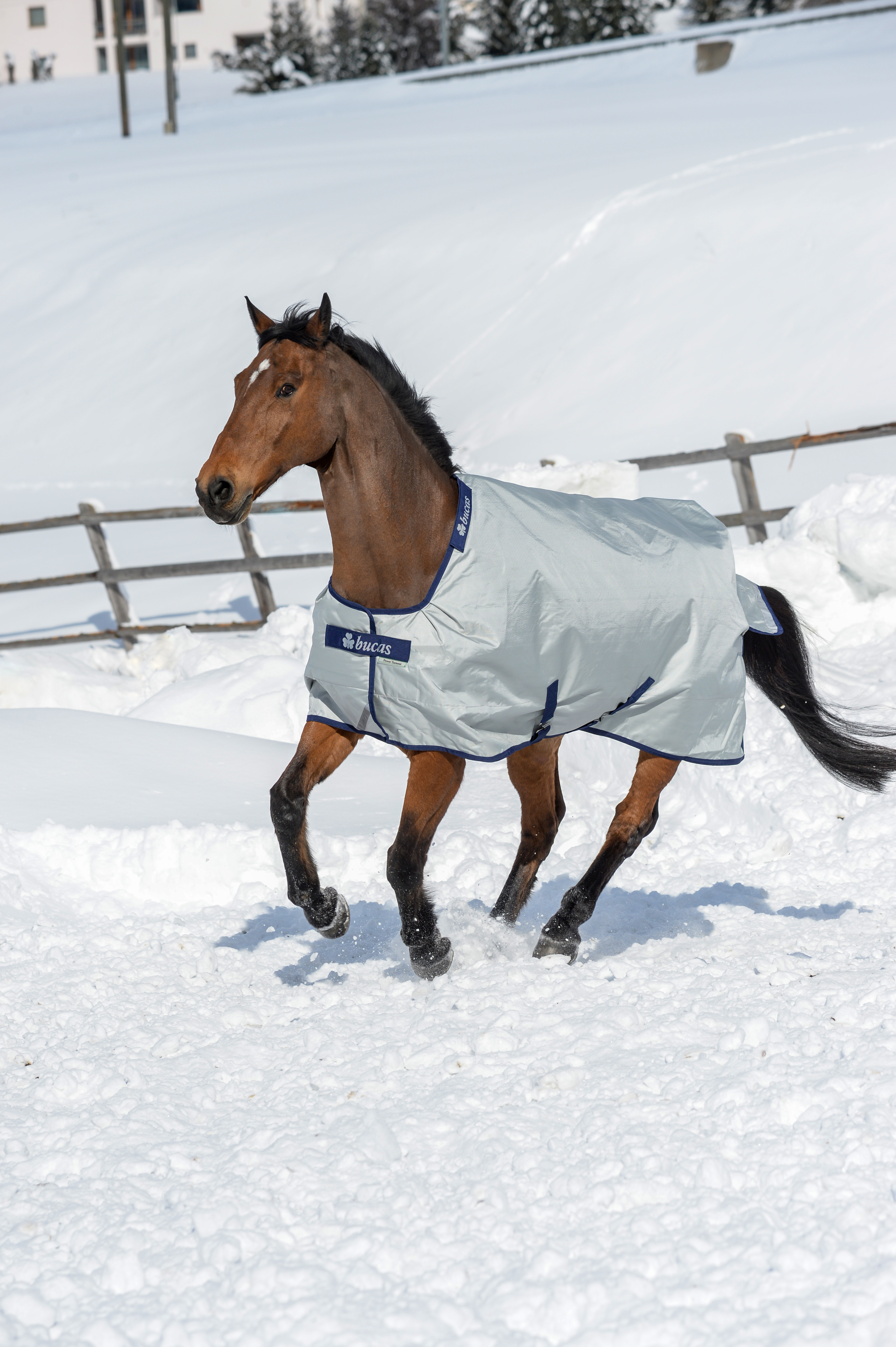 Outdoor rug Power Turnout Extra 300g in Silver