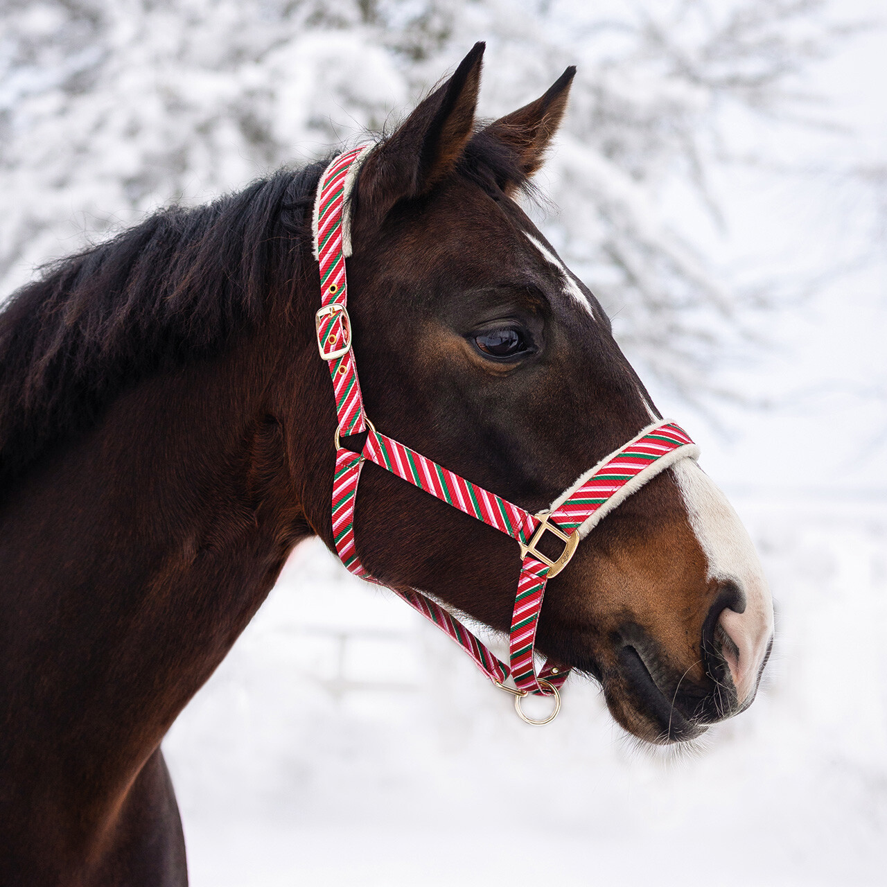 Christmas halter