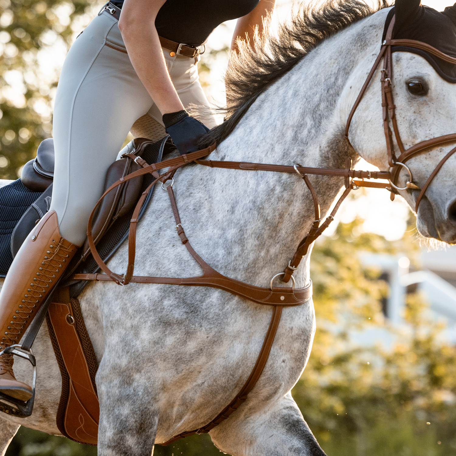 Vorderzeug Take-Off Line AP