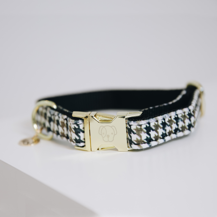Pied-de-Poule dog collar