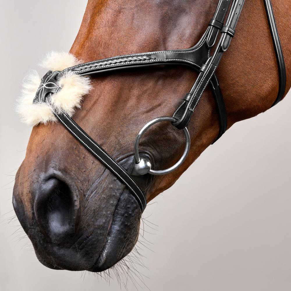 Trense mit geflochtenen mexikanischem Reithalfter DY |