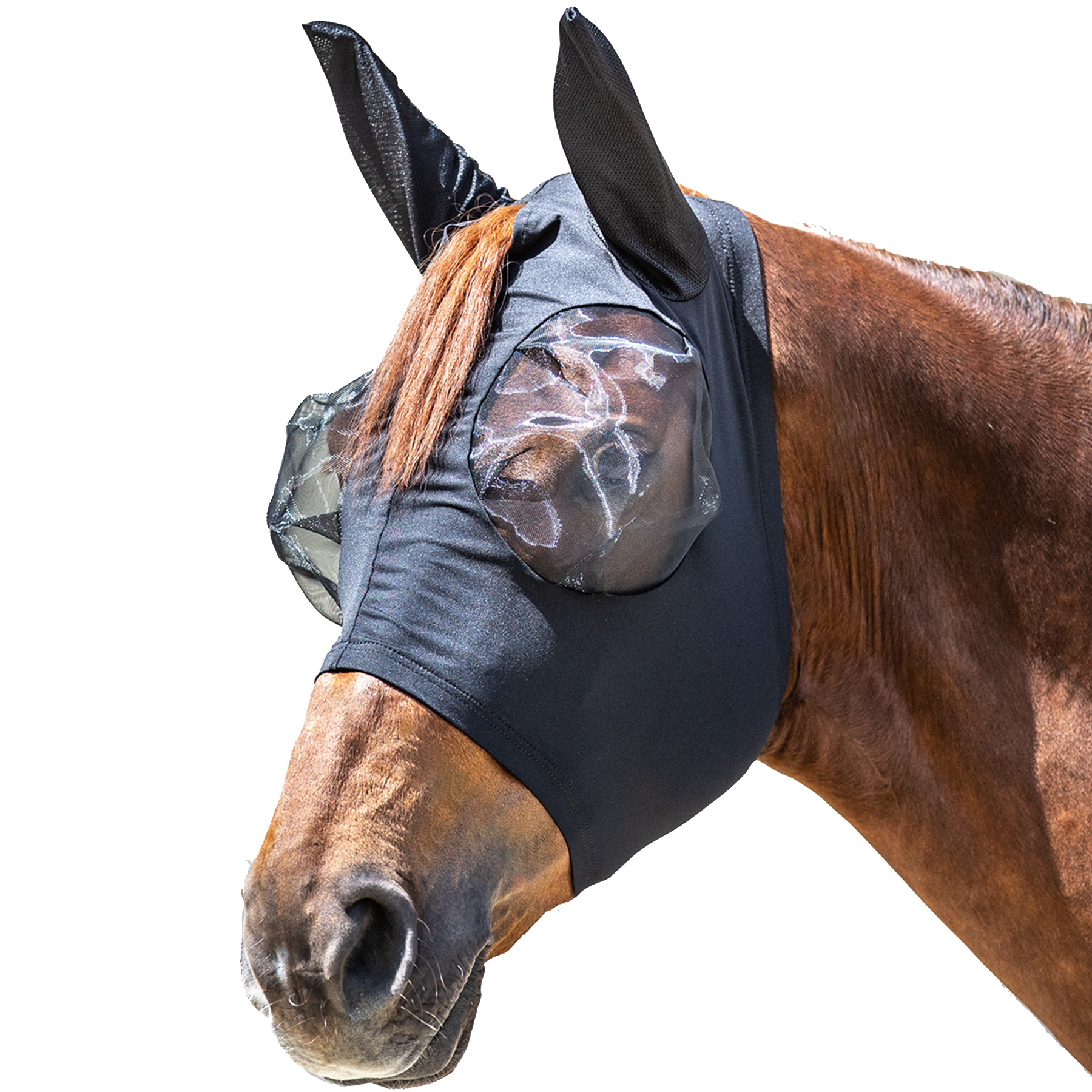 Puck fly mask