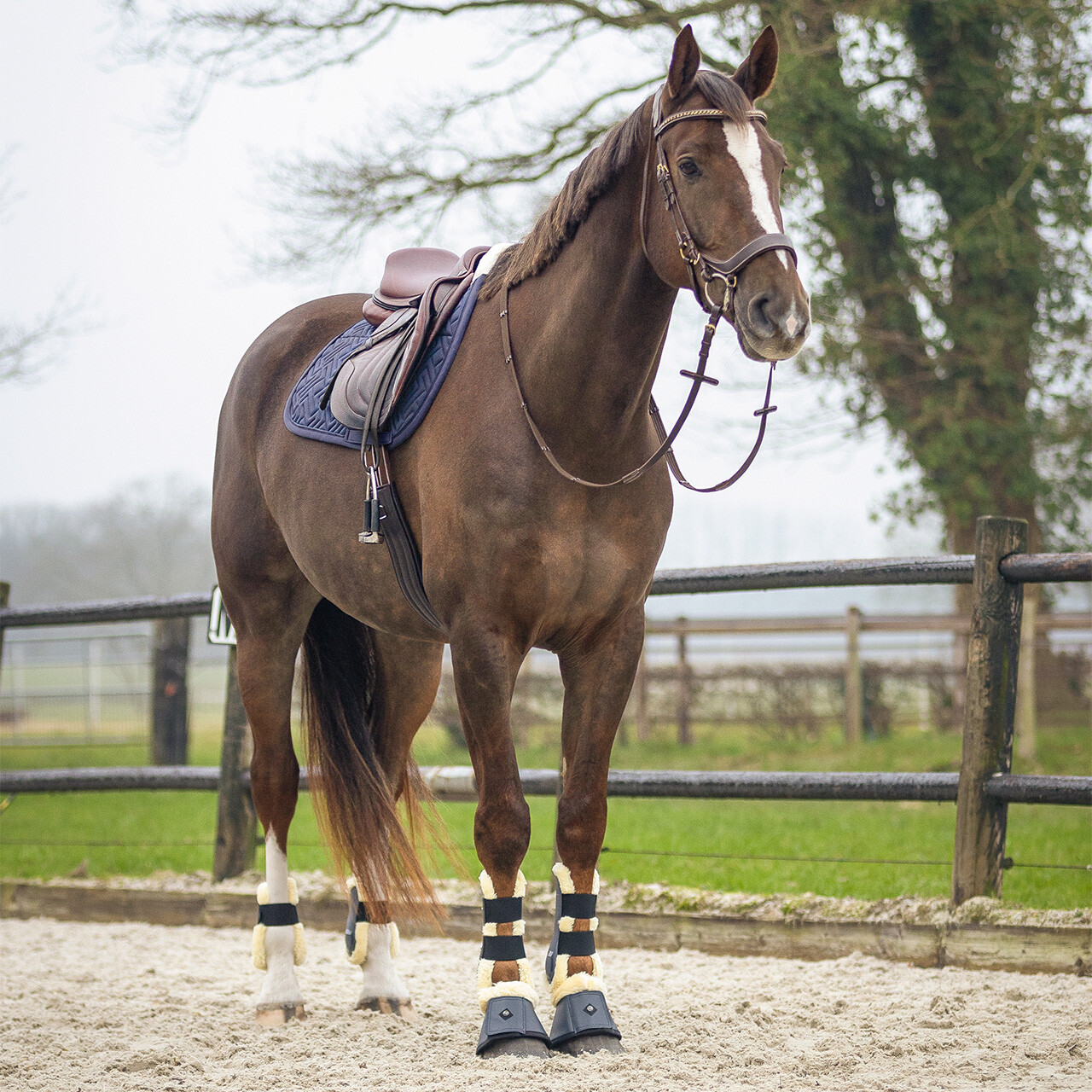 Saddle pad Sensisoft