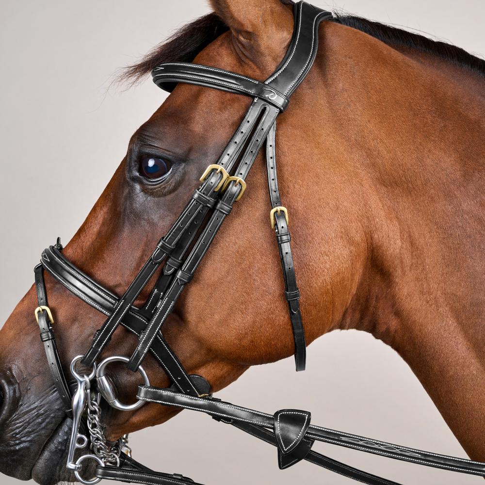 Kandare mit kombiniertem Reithalfter DY | Dy'on