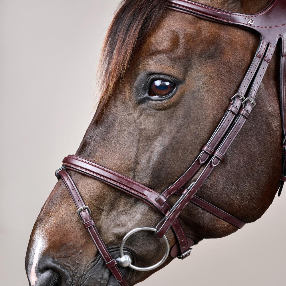 Difference Trense NE