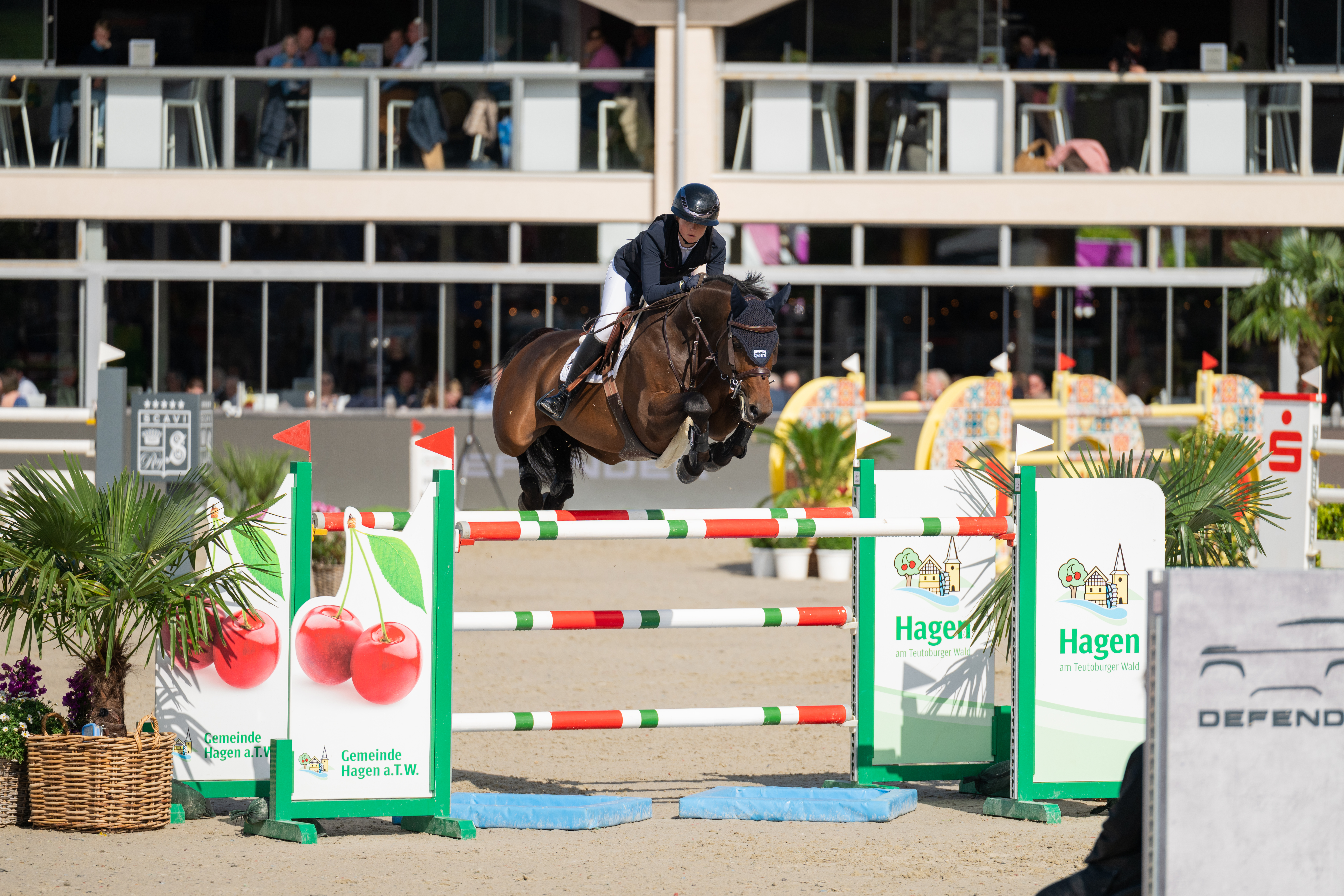 Reithose Damen Amia Sd Kn