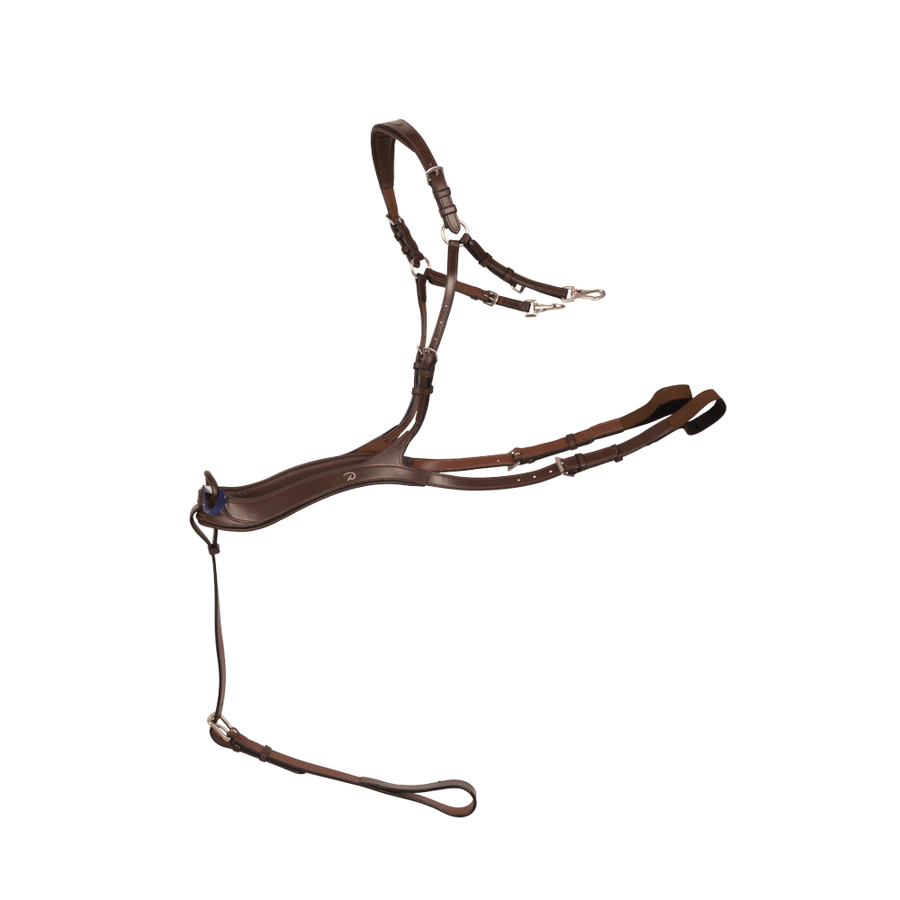 Anatomisches Vorderzeug