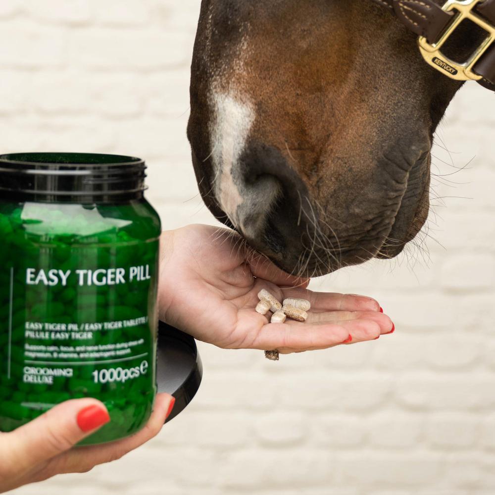 Easy Tiger tablet
