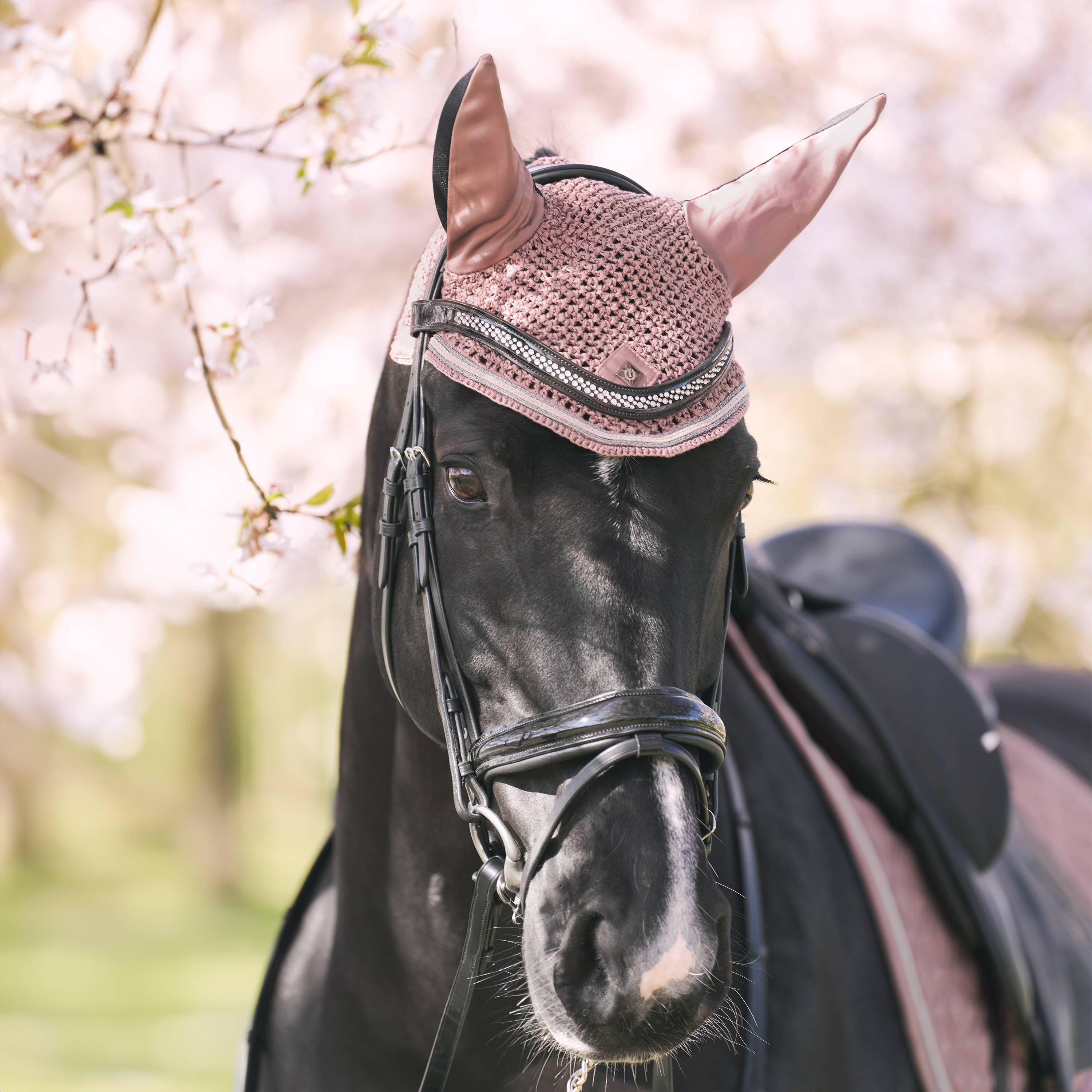 Fliegenhaube Lenny