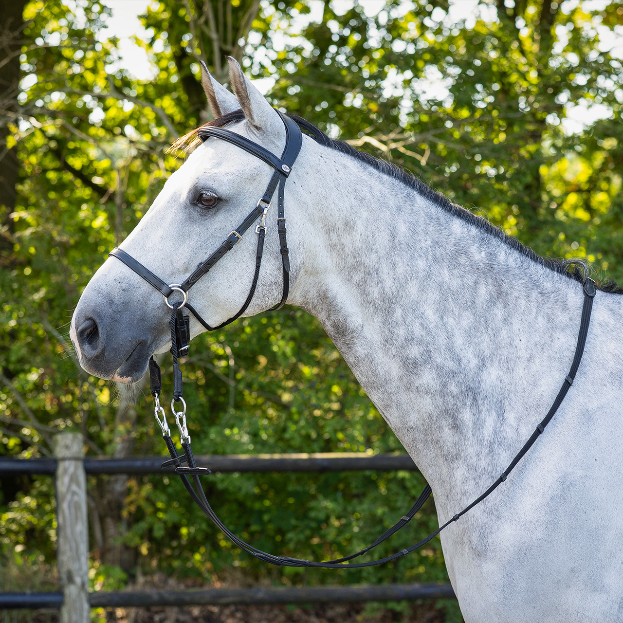 Snaffle bitless Ceto