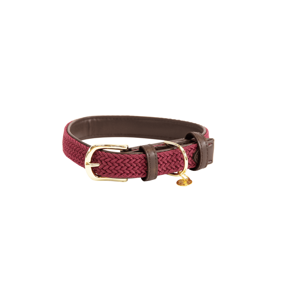 Hundehalsband Geflochten Nylon