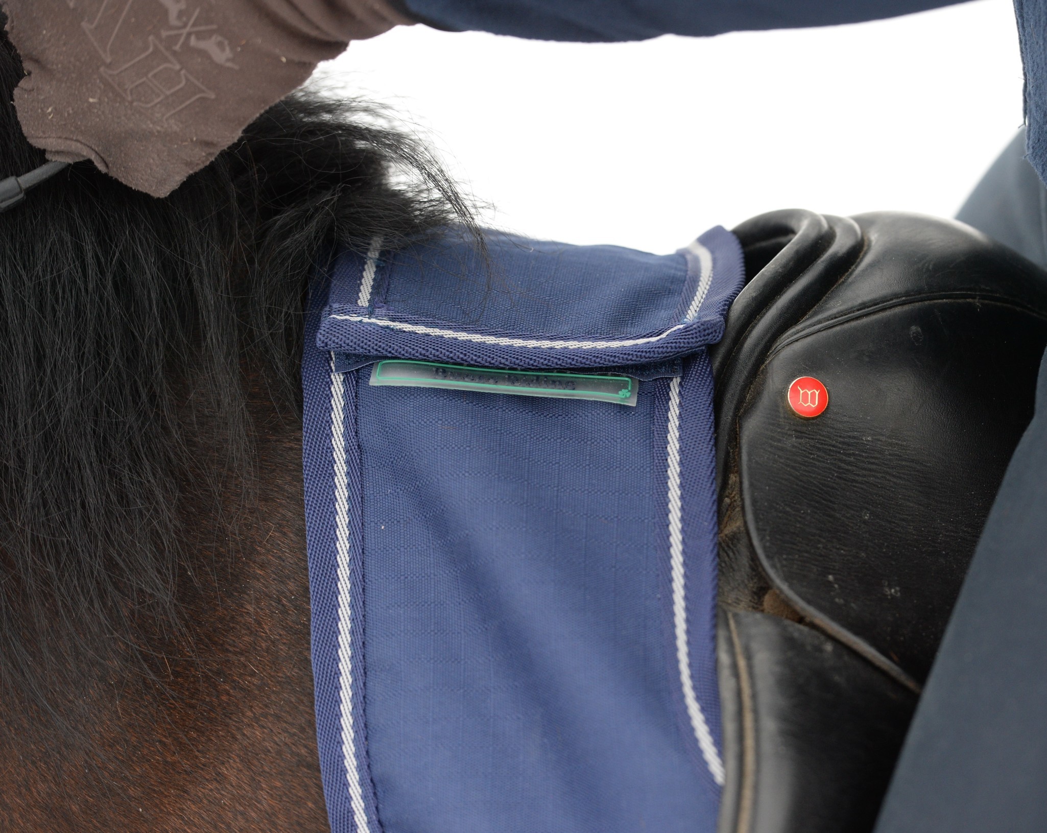 Nierendecke Riding Rug in Navy