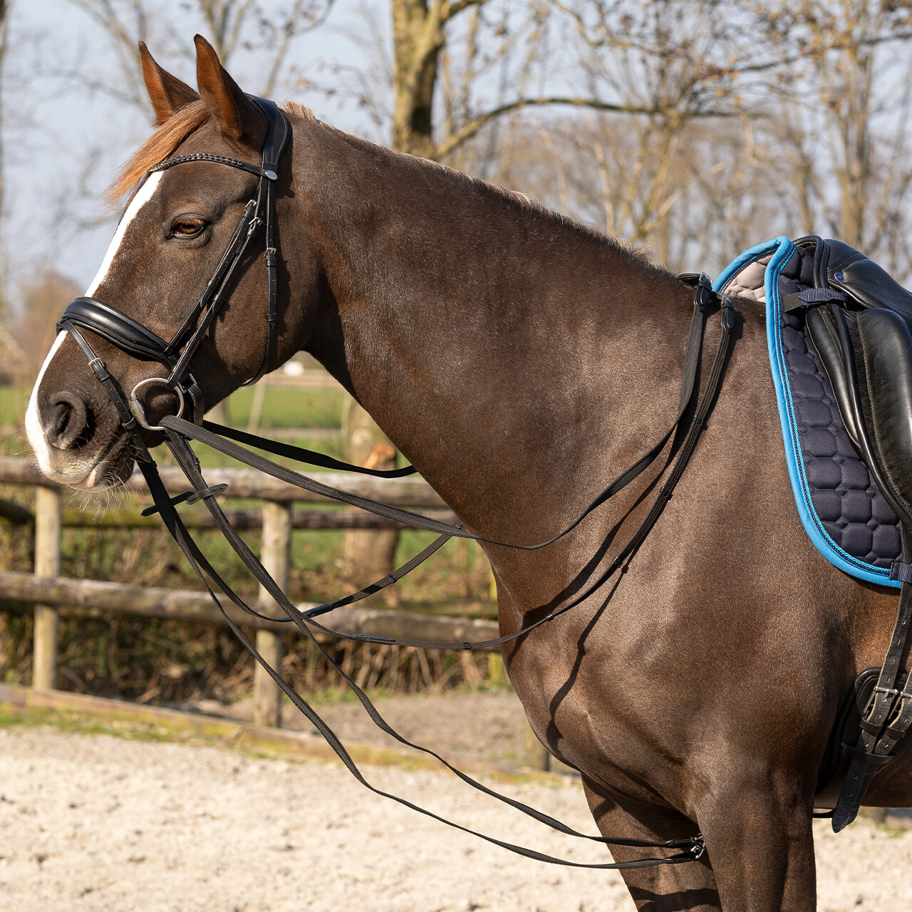 Schlaufzügel Basic pro Anti-slip