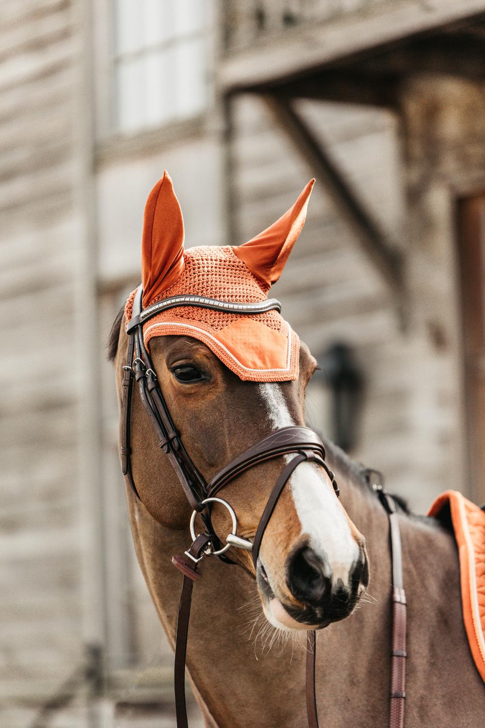 Fliegenhaube Wellington Velvet