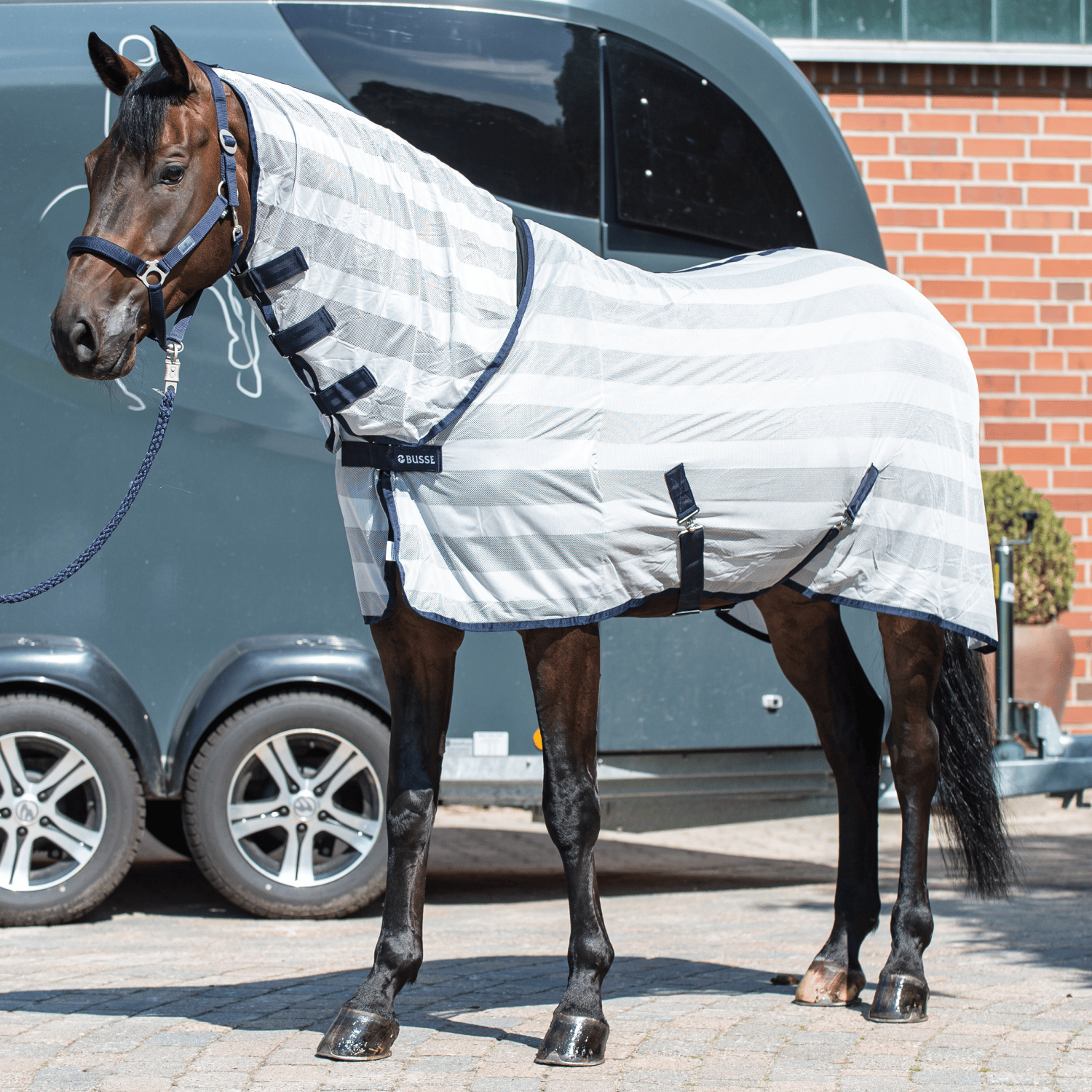 Transport-Fliegendecke Stripe Plus