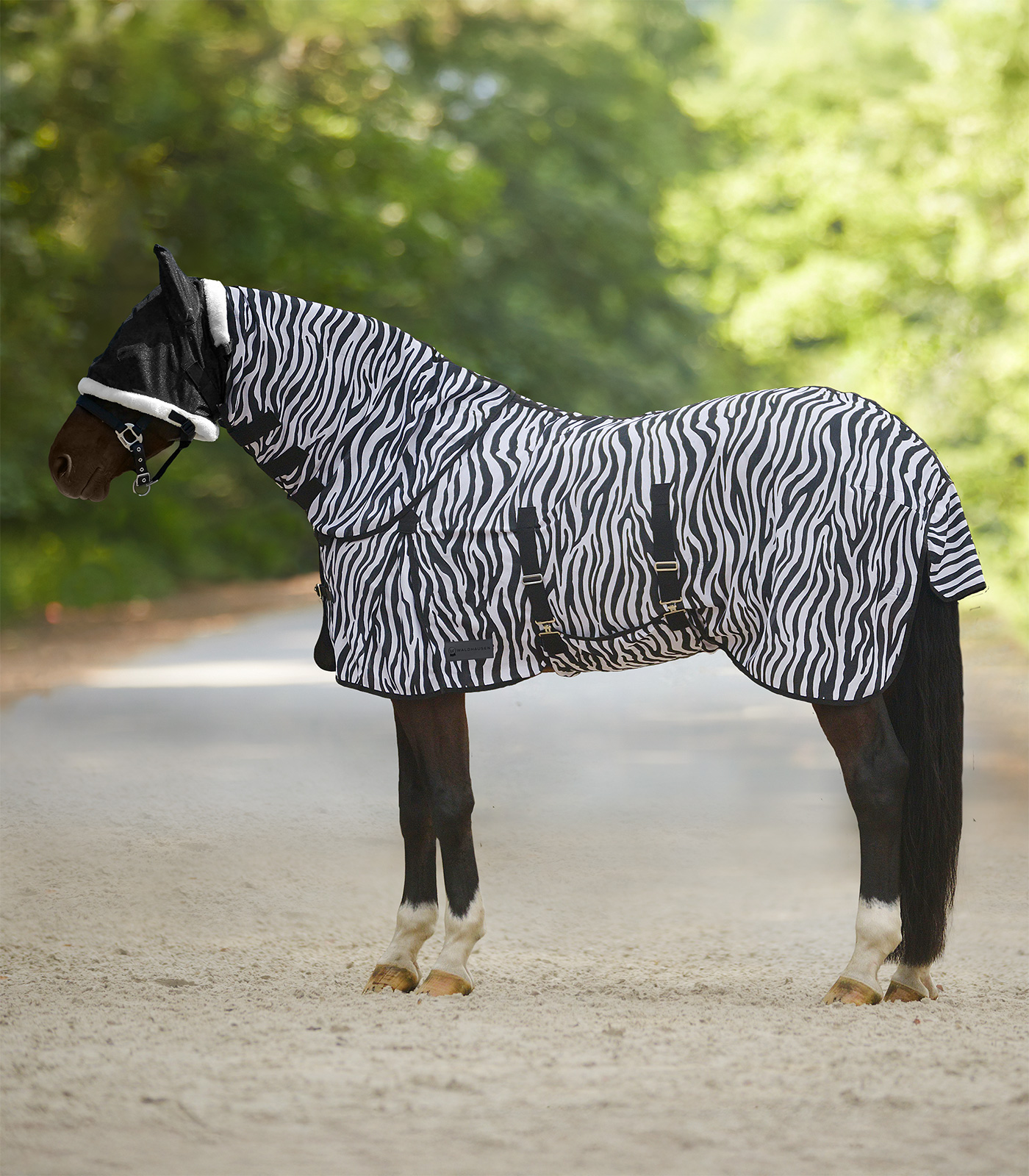 Zebra fly rug