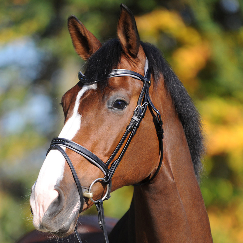 Trense "Ella" eng.-komb.