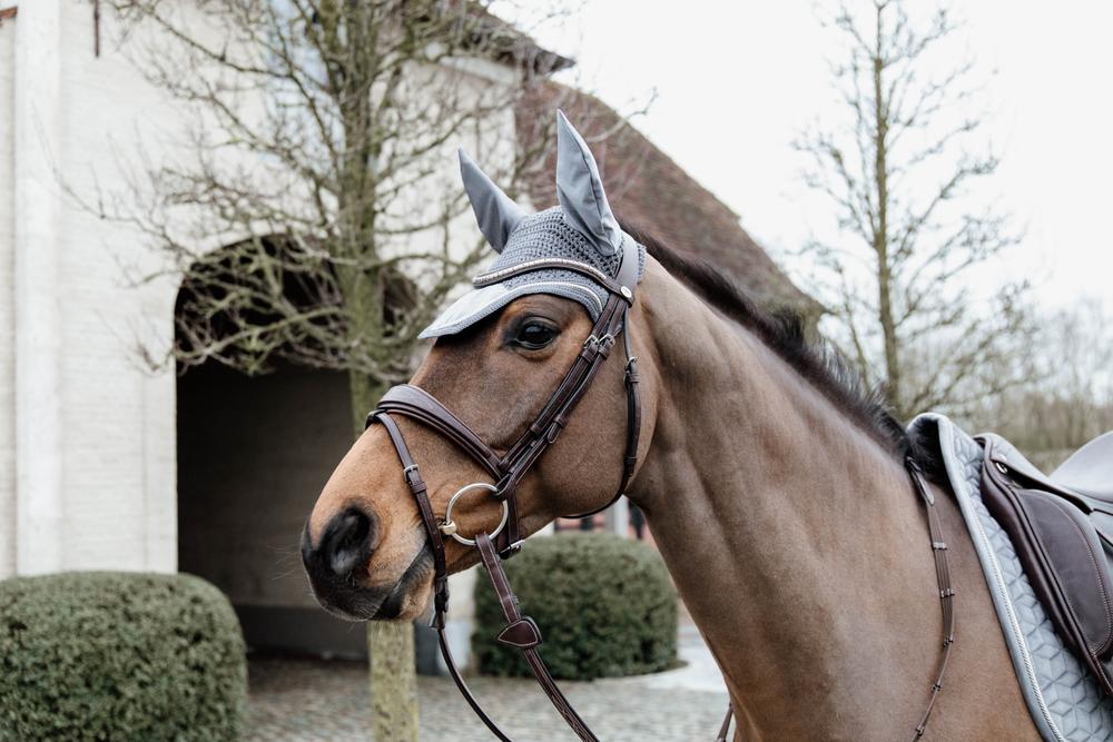 Fliegenhaube Wellington Basic Velvet