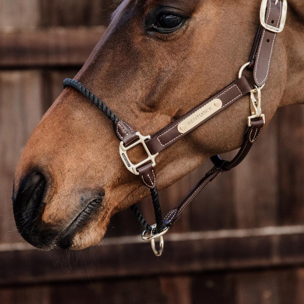 Rope leather halter