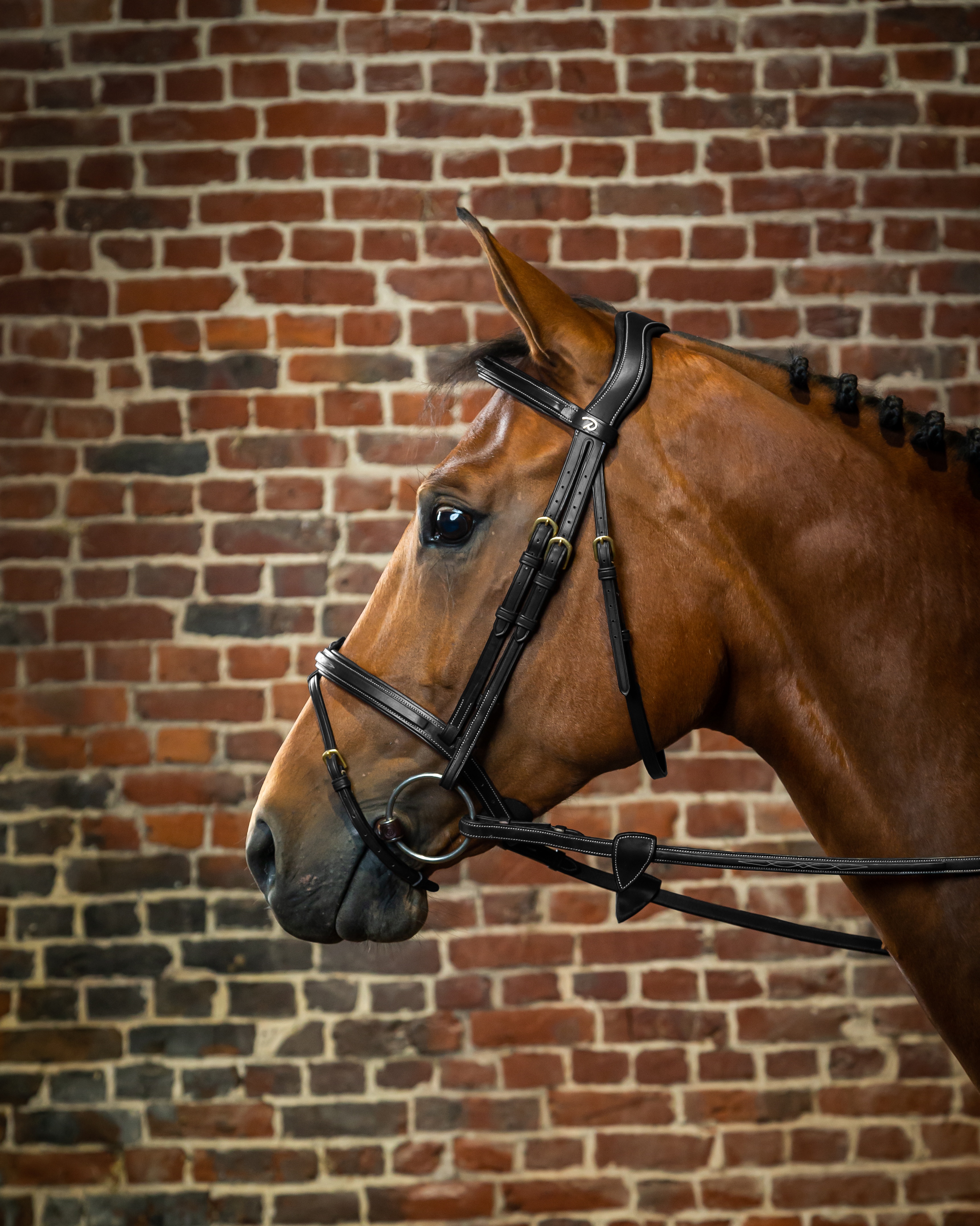 Snaffle combined