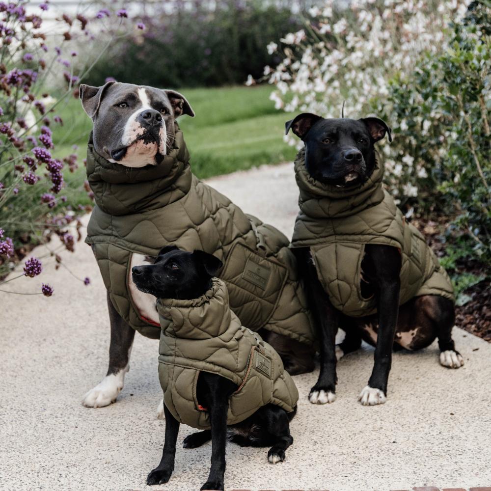 Hundemäntel Winter Pina