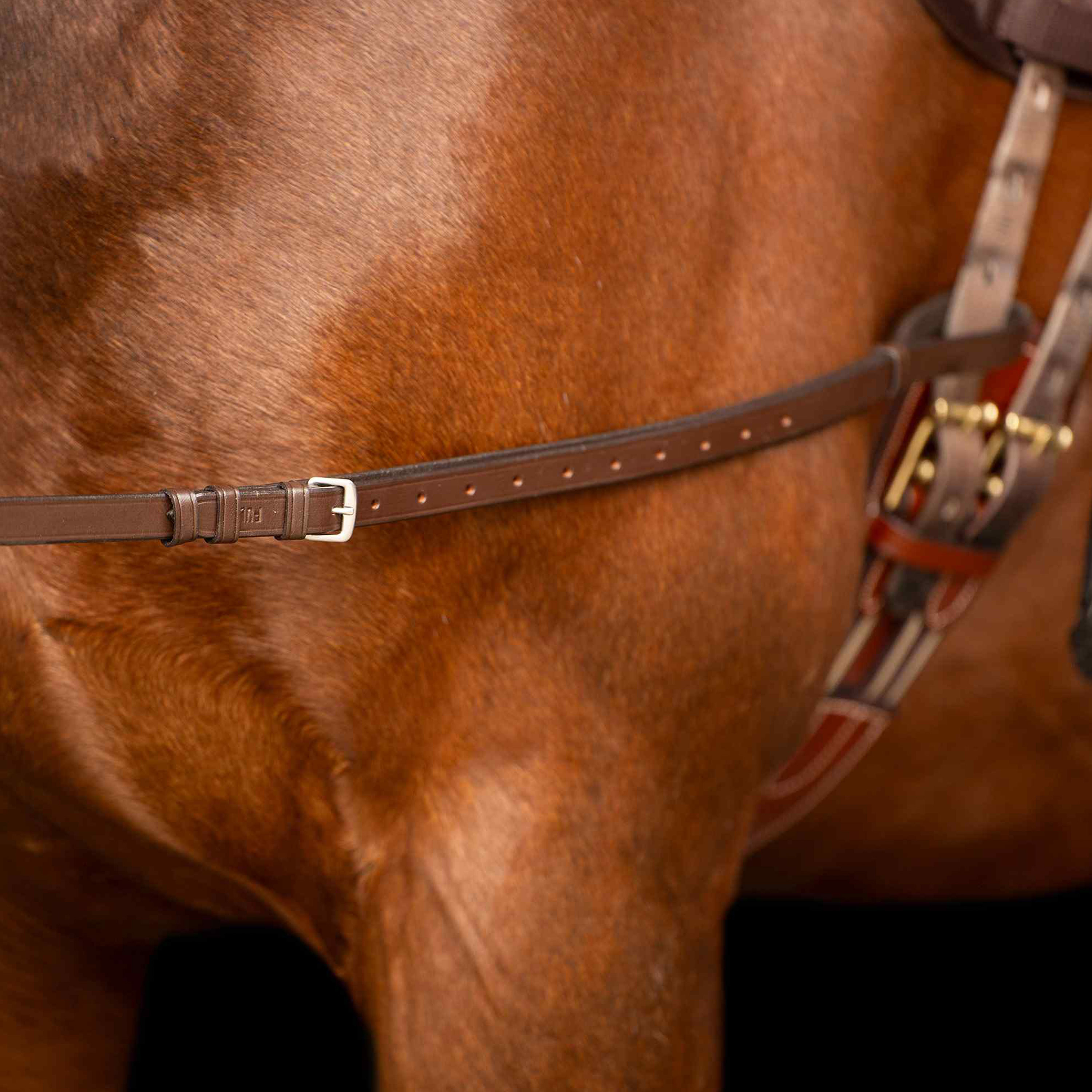 Ausbinder Leder mit Elastik