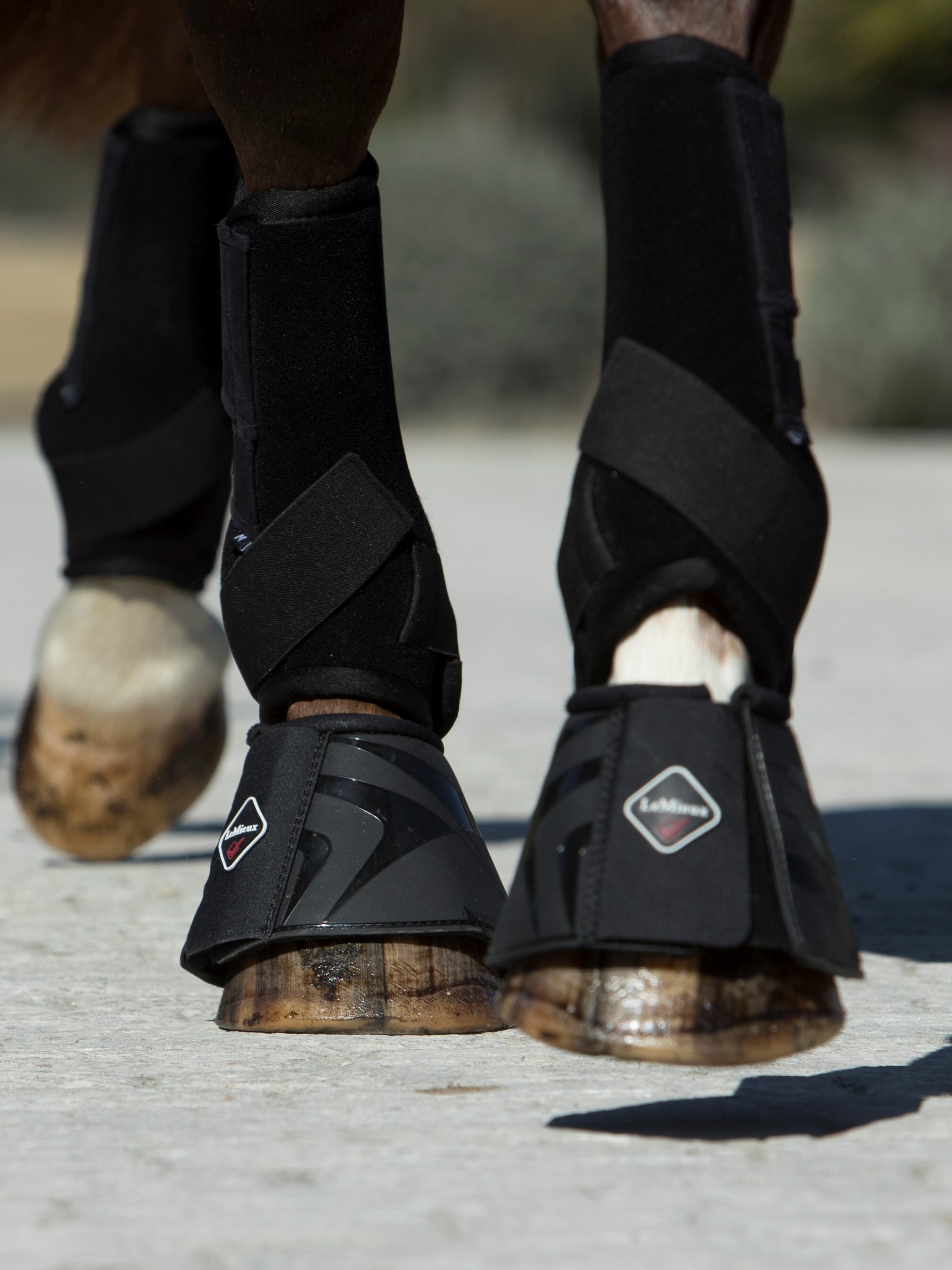 Proshell overreach boots