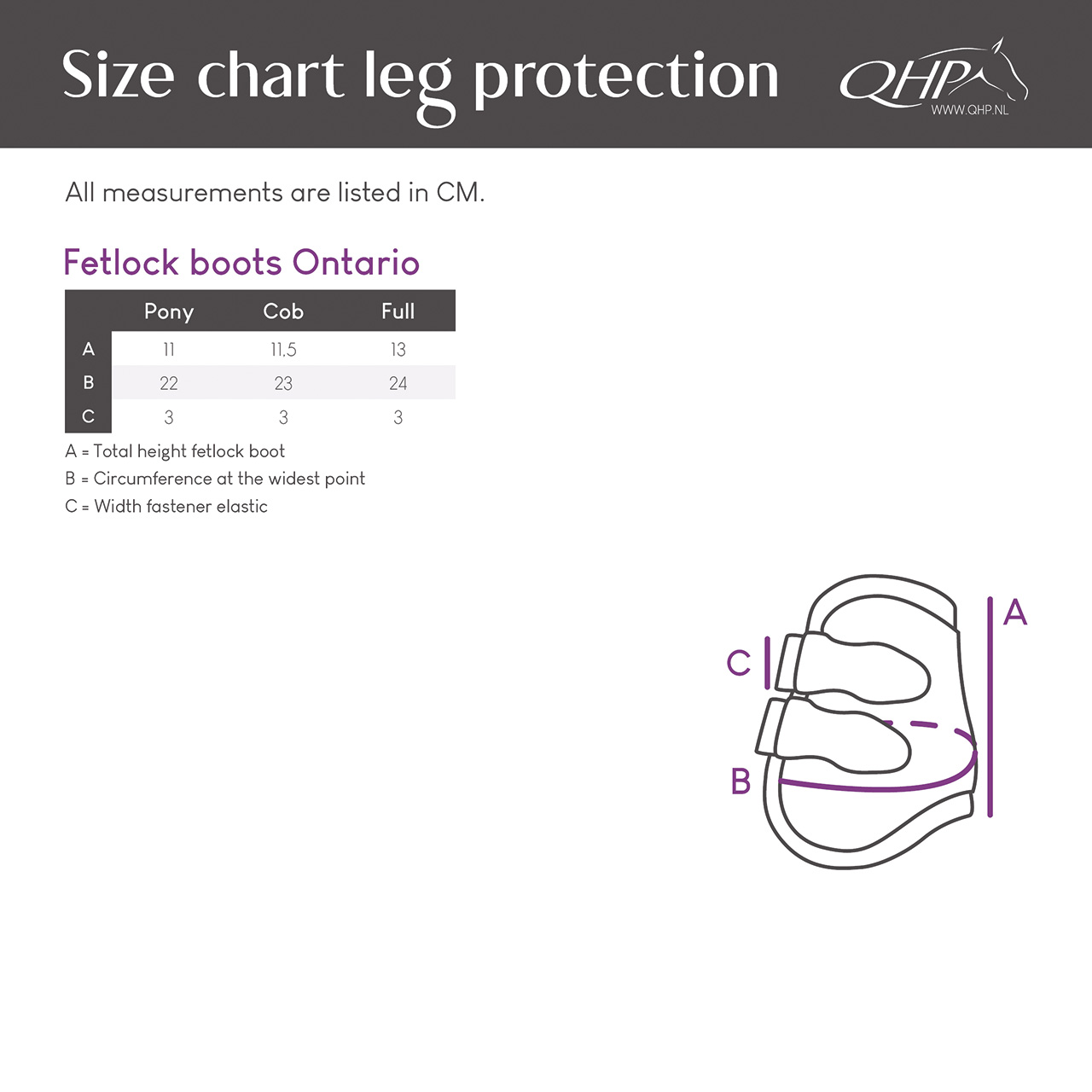 Fetlock boots Ontario