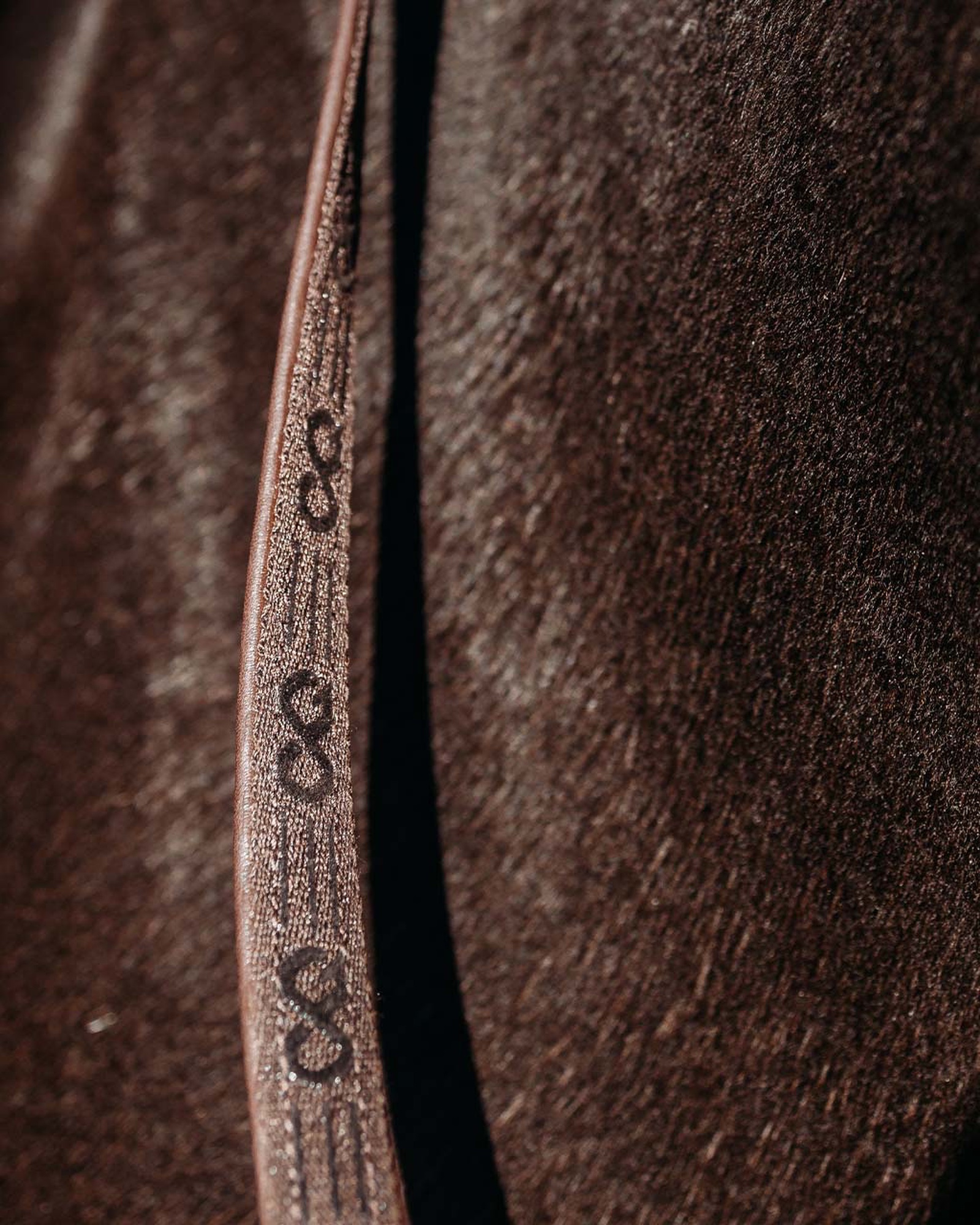 FayRein port reins with clip